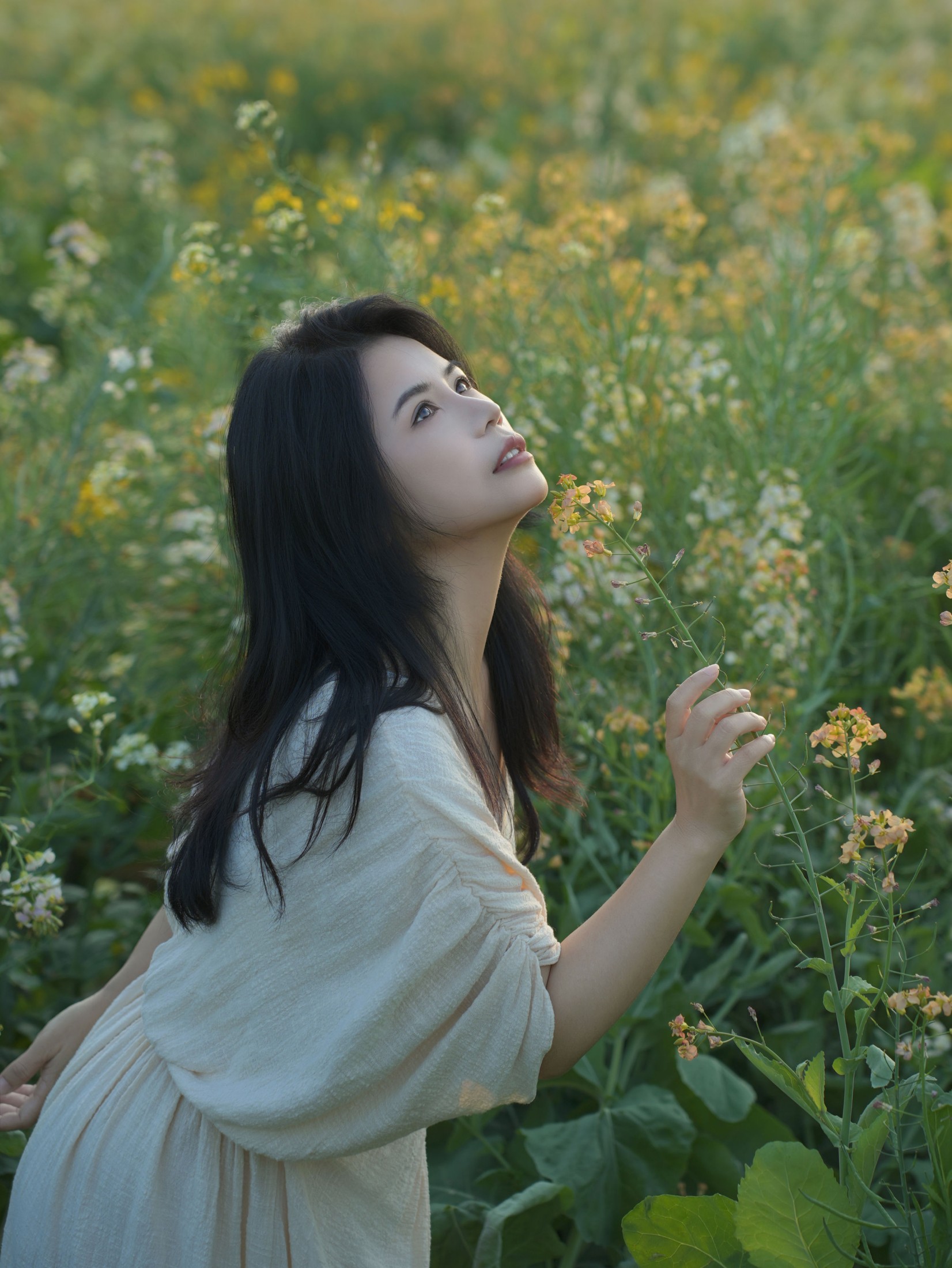 《油菜花里拍蓝调情绪风》[14P]