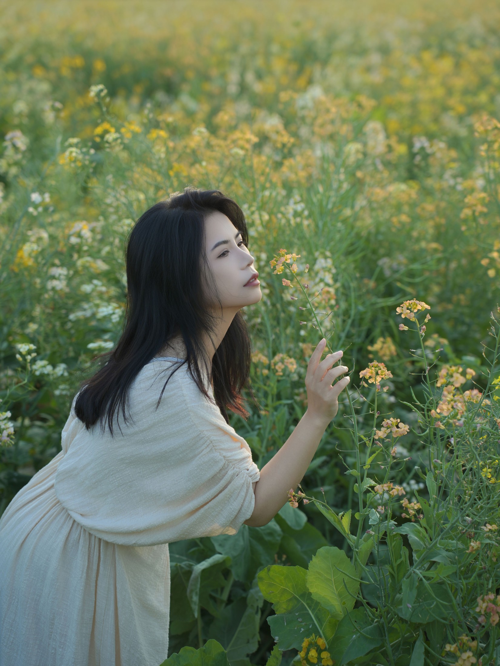《油菜花里拍蓝调情绪风》[14P]