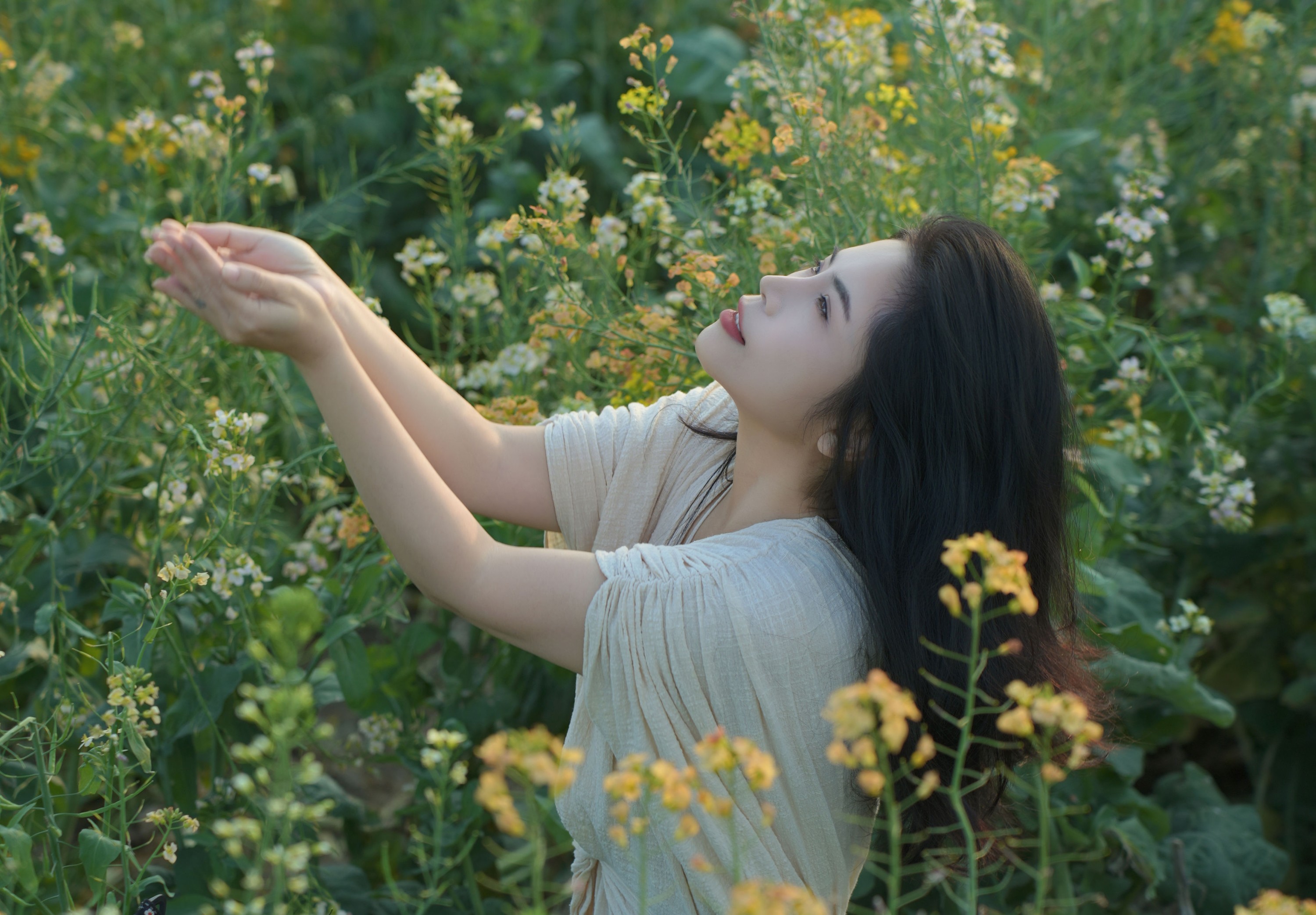 《油菜花里拍蓝调情绪风》[14P]