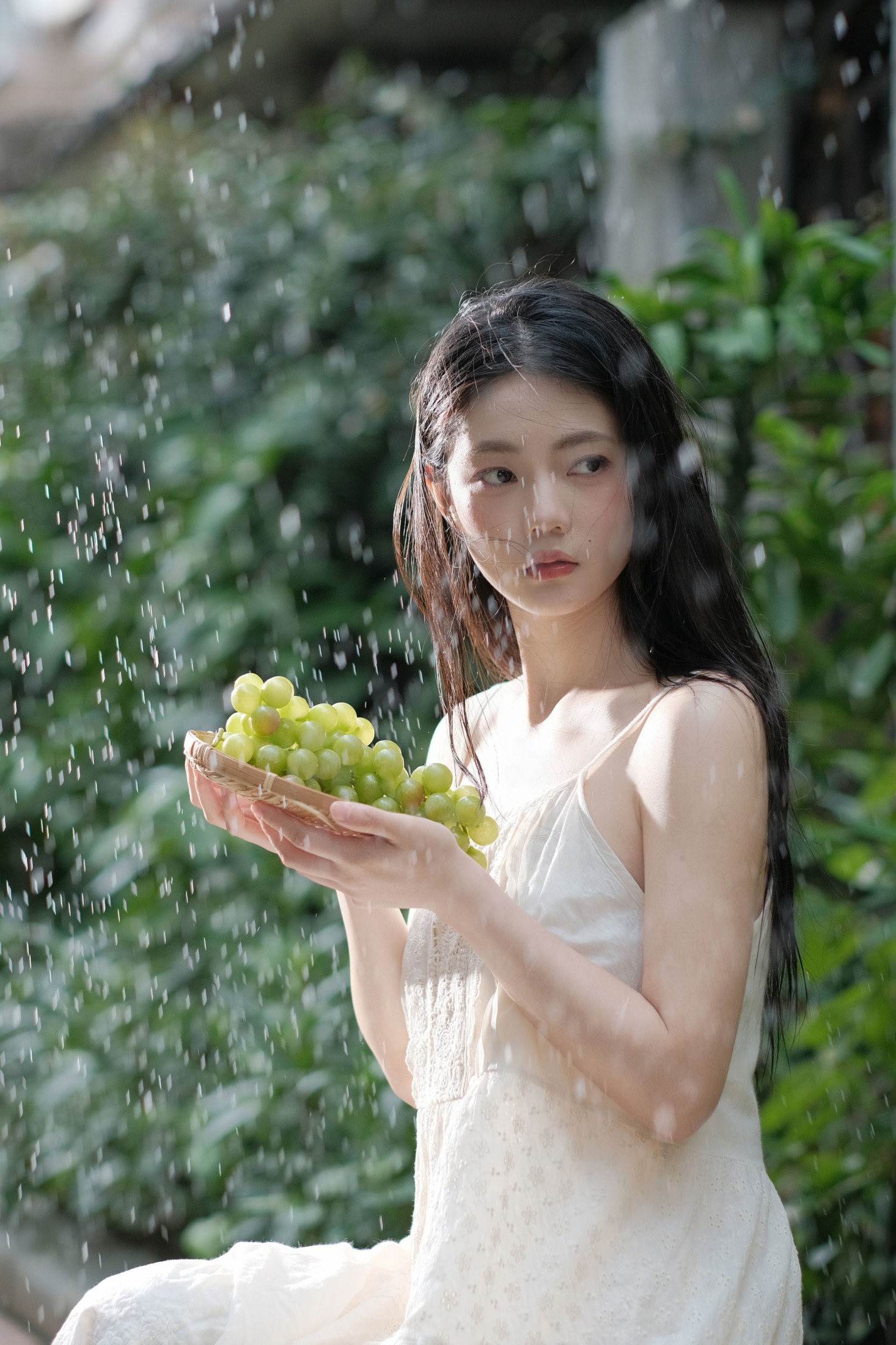 桐梓林的雨