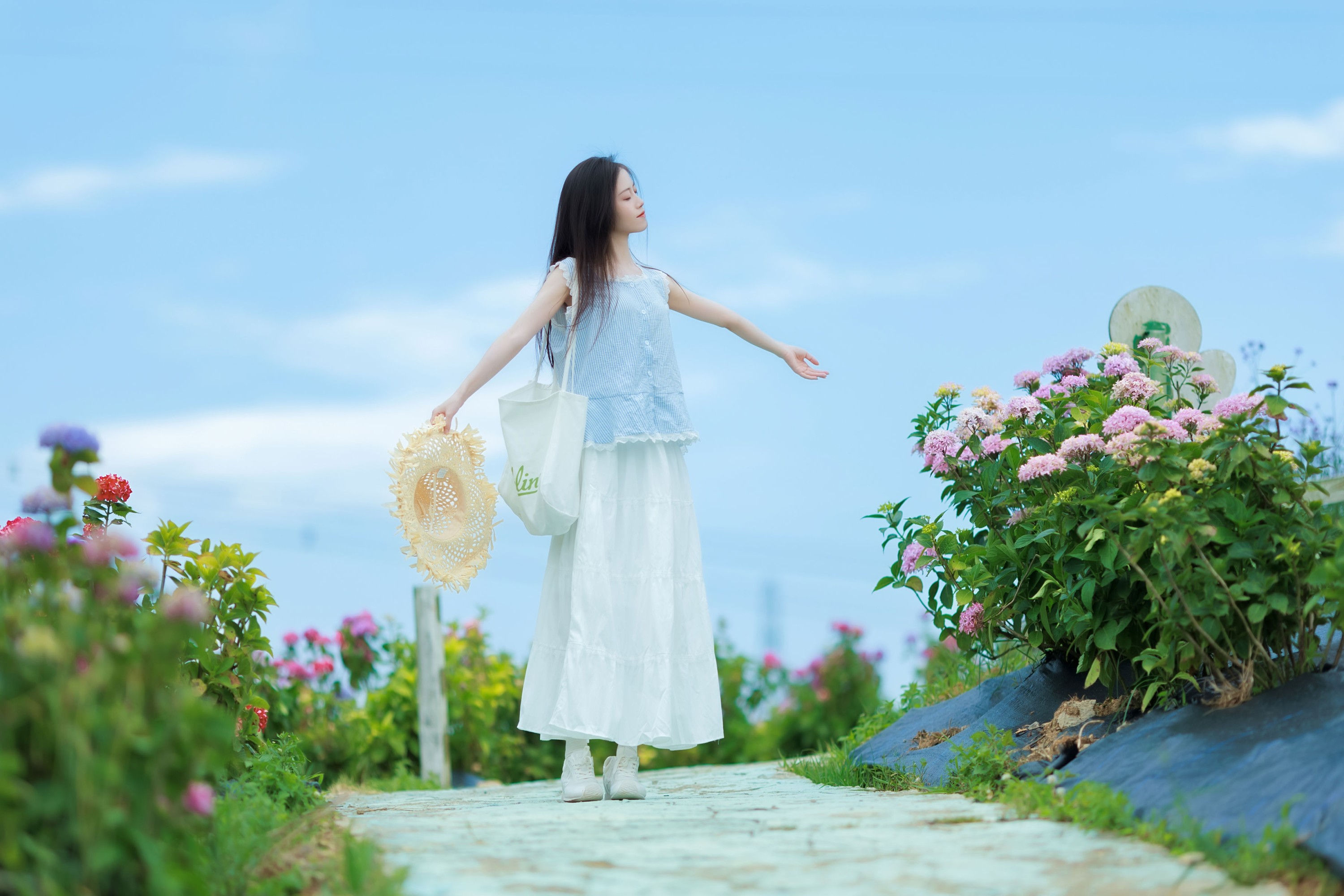 清透绣球花海氛围感