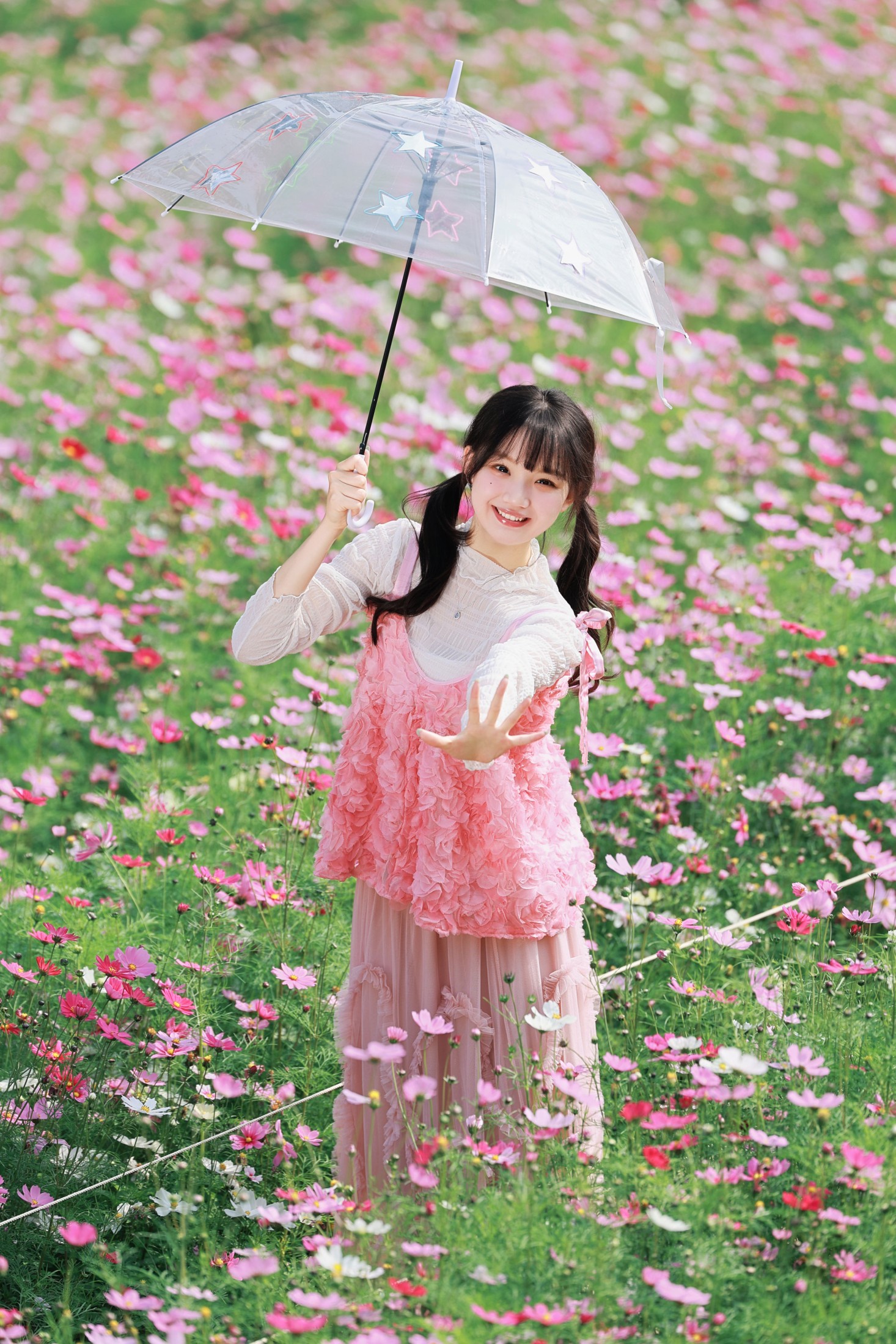救命！在格桑花海里拍到了韩剧女主的春天