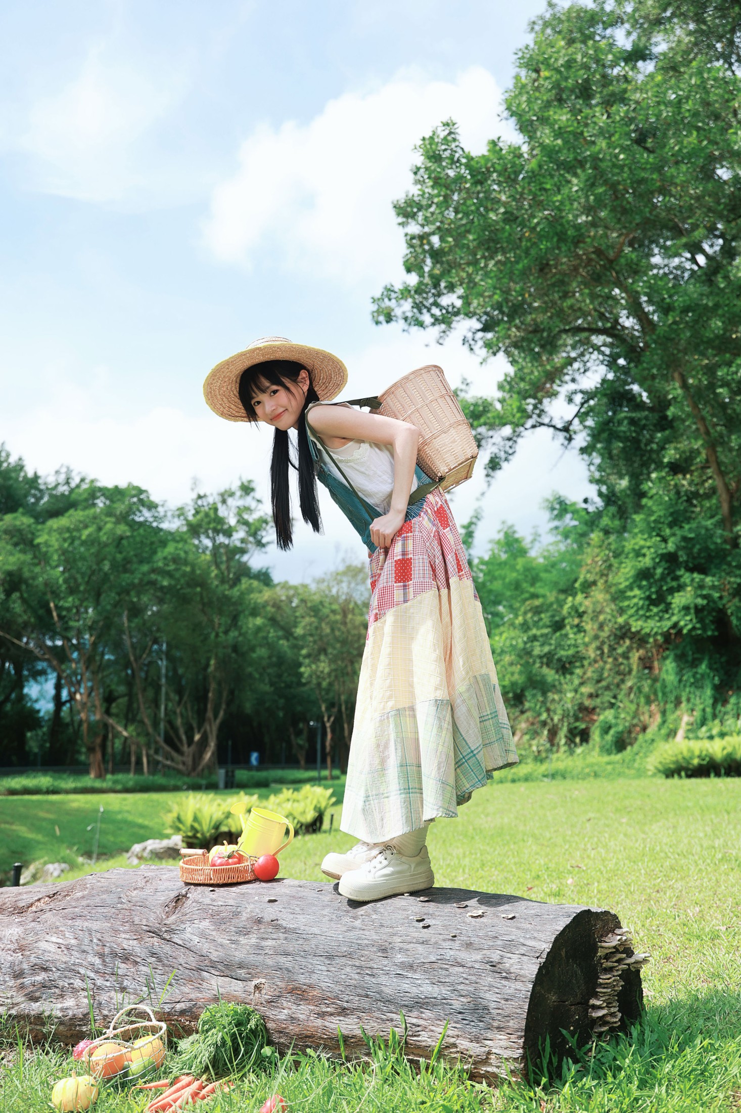 把夏天的温柔，藏进这片绿色的风里