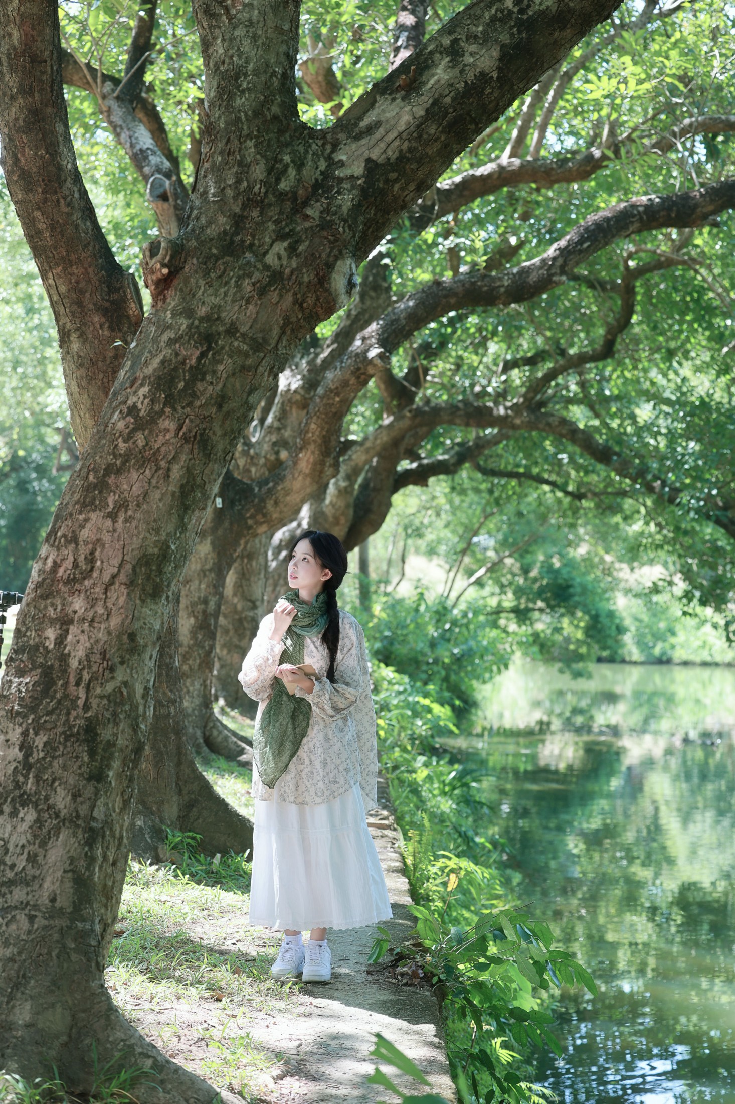 林间漫行，与夏风撞个满怀