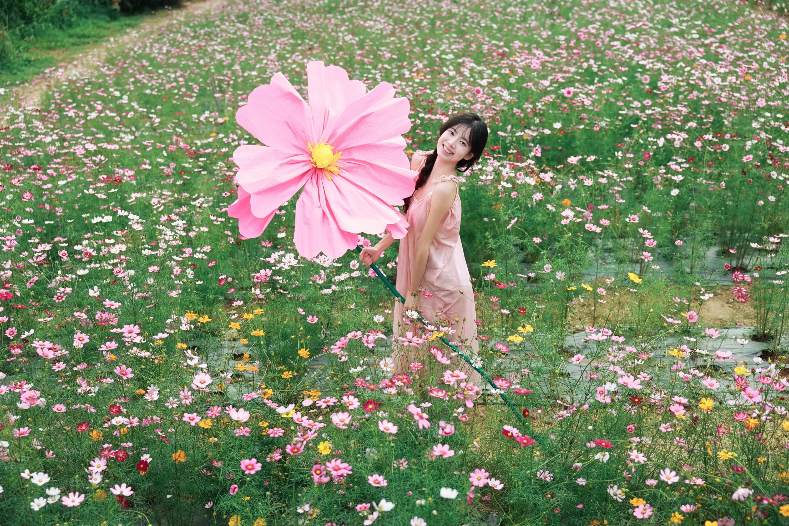 《风遇花海，人随春好 | 藏在格桑花海里的温柔时光》[23P]