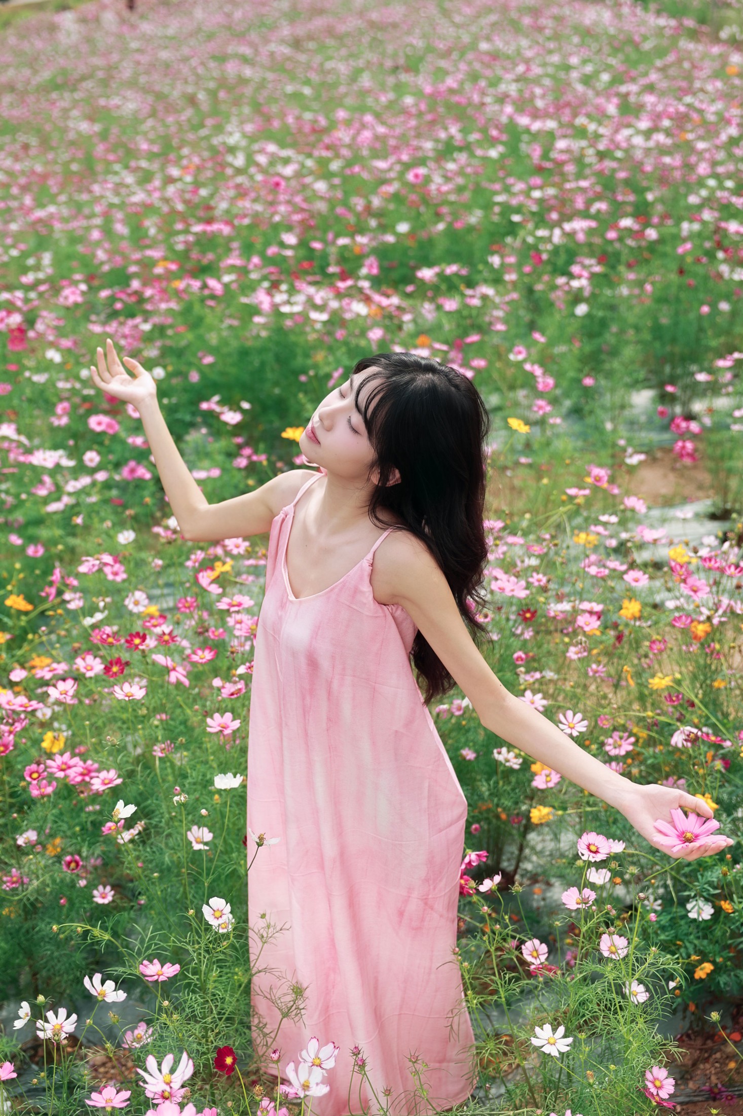 《风遇花海，人随春好 | 藏在格桑花海里的温柔时光》[23P]