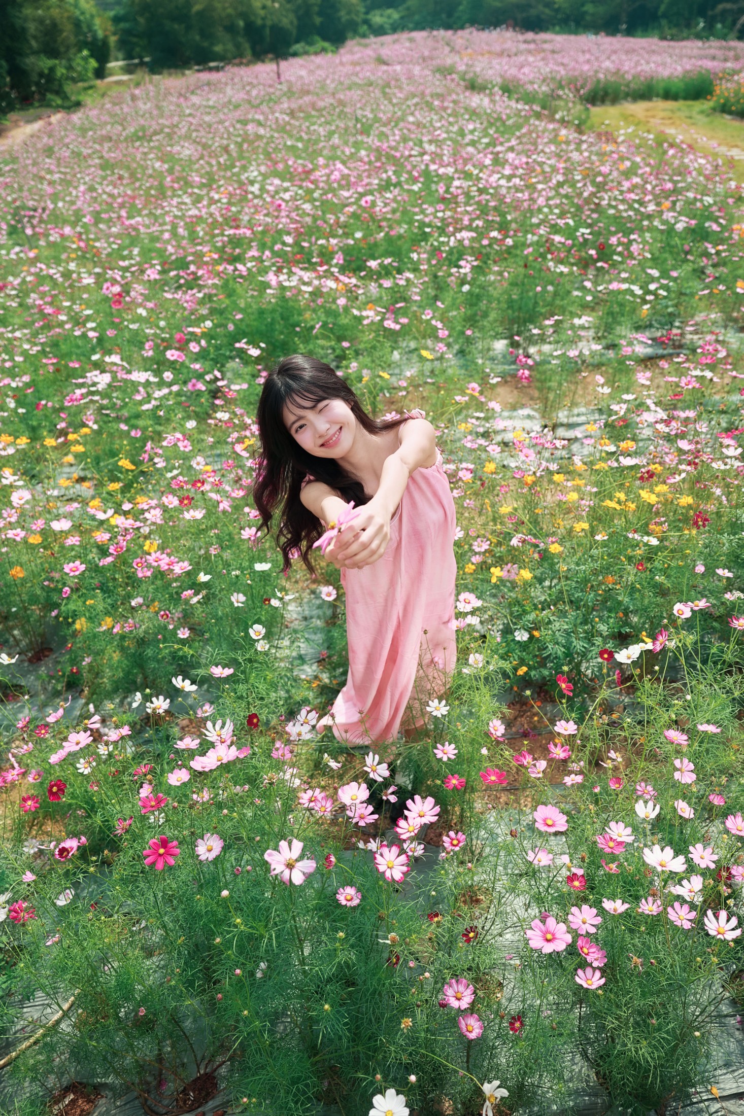 《风遇花海，人随春好 | 藏在格桑花海里的温柔时光》[23P]