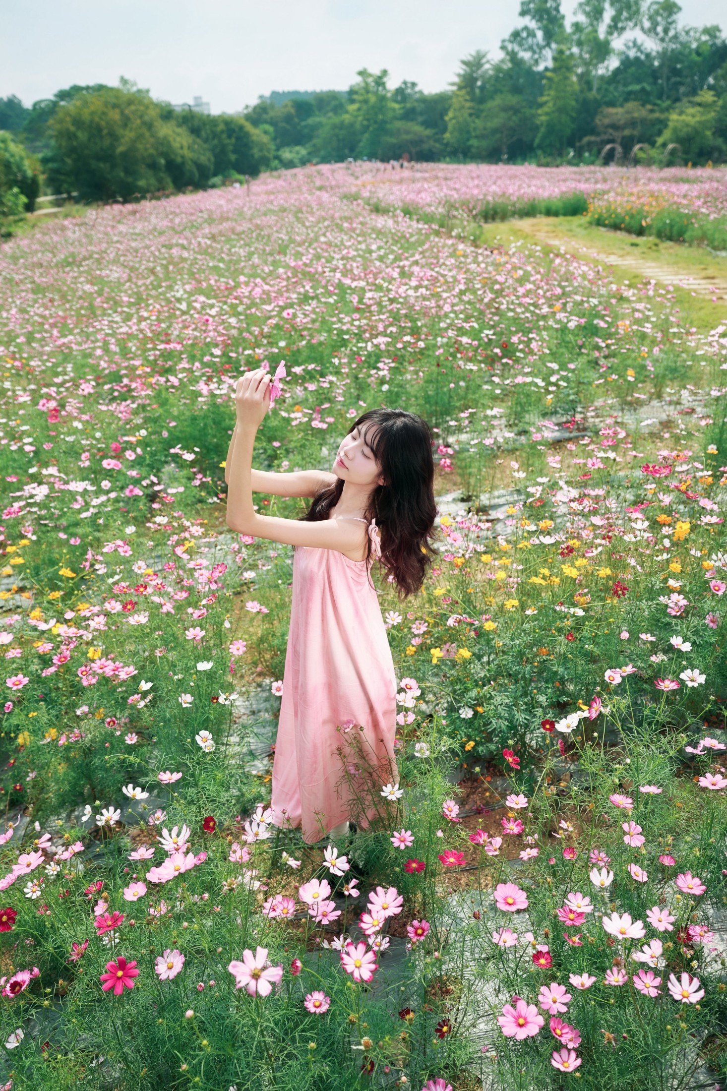 《风遇花海，人随春好 | 藏在格桑花海里的温柔时光》[23P]