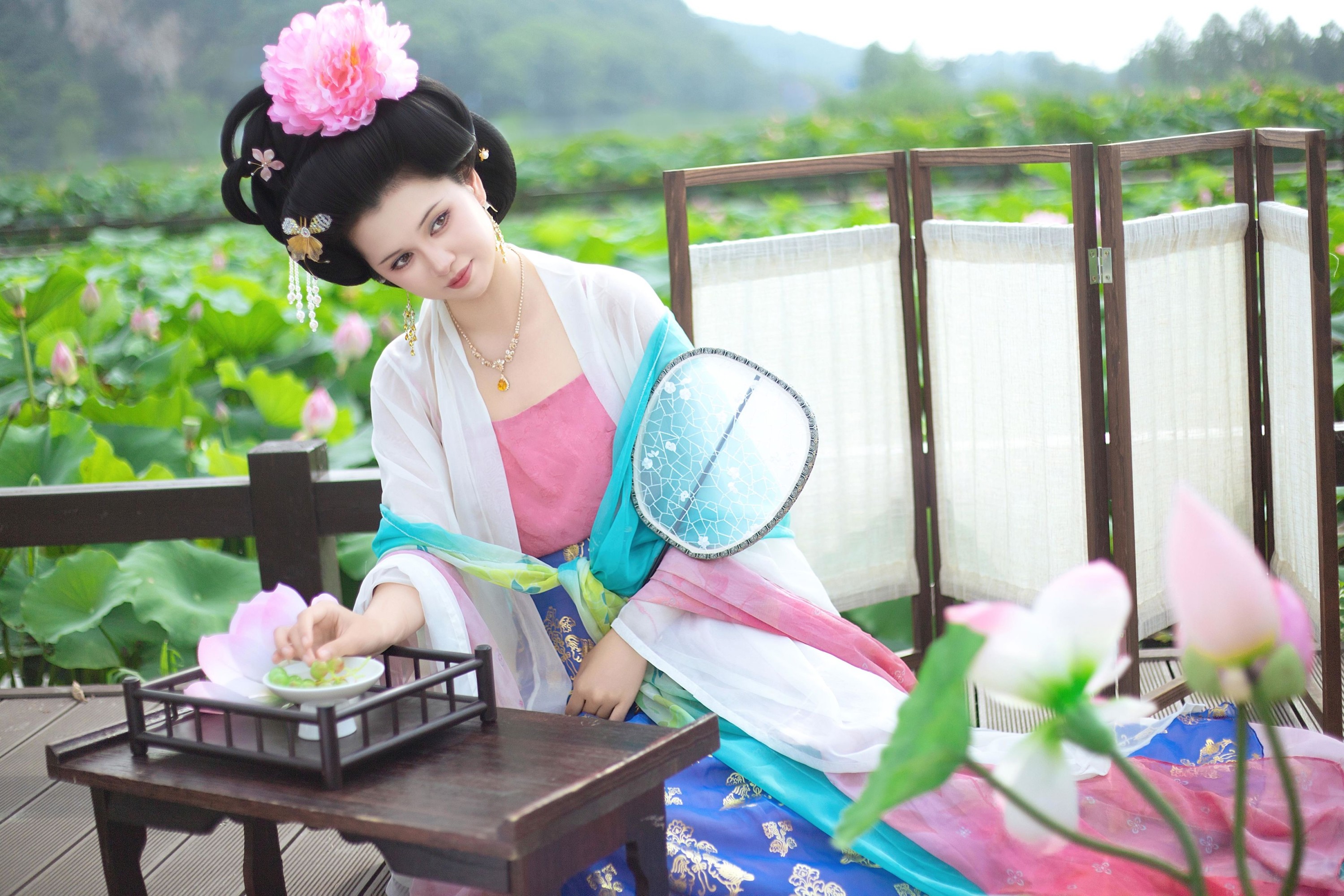 荷花唐