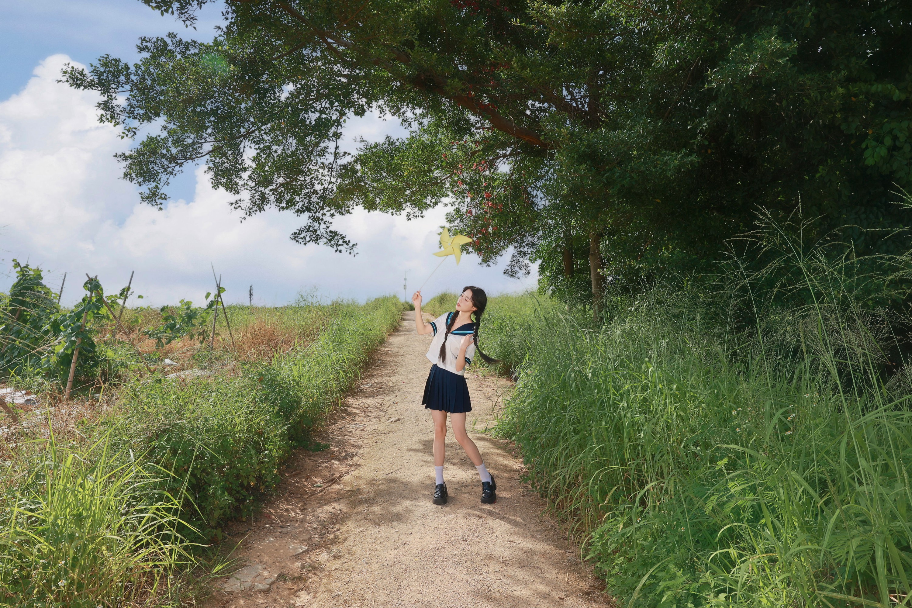 日系 JK 写真，风车与风的夏天