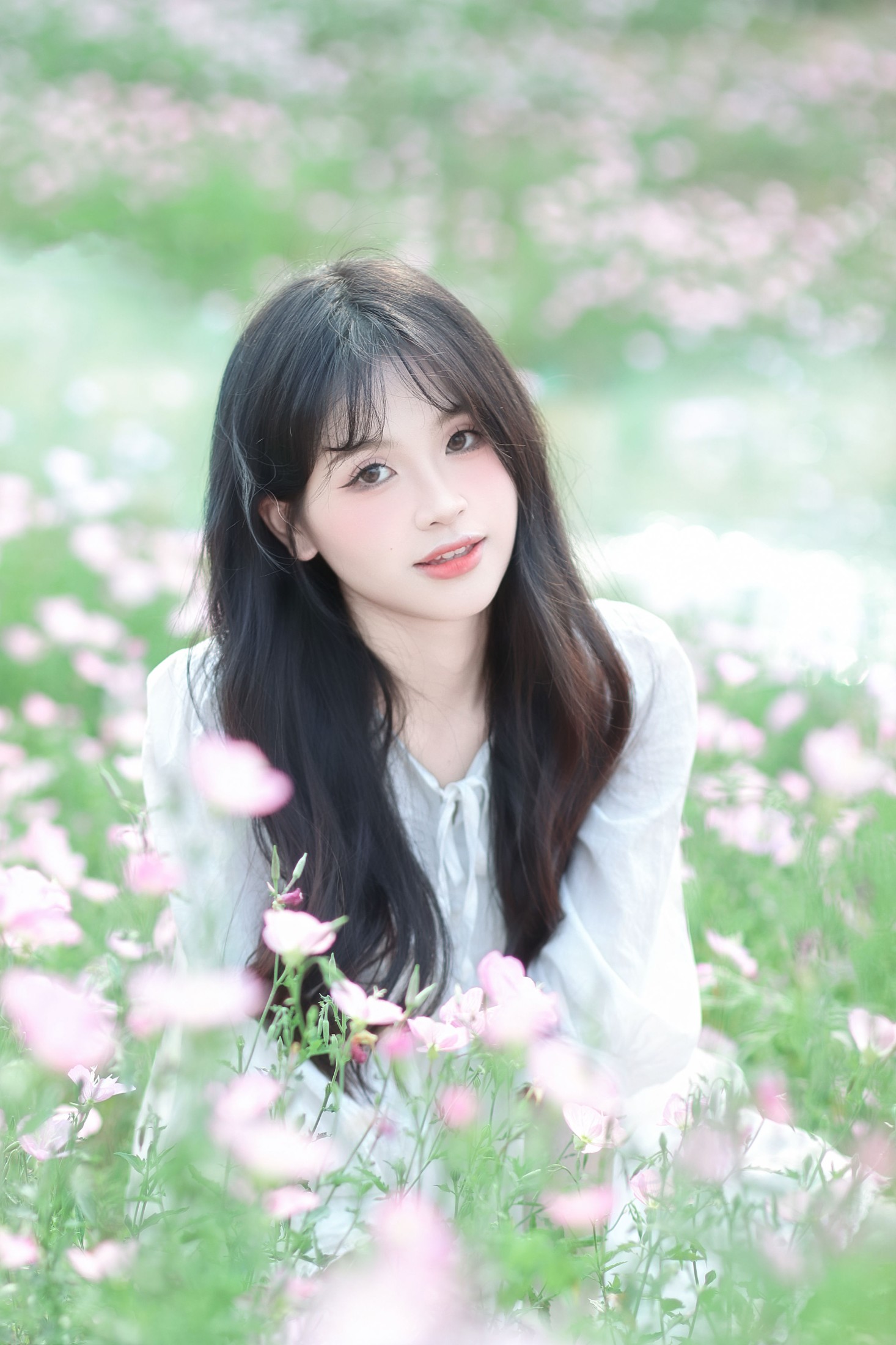 掉进月见草花丛