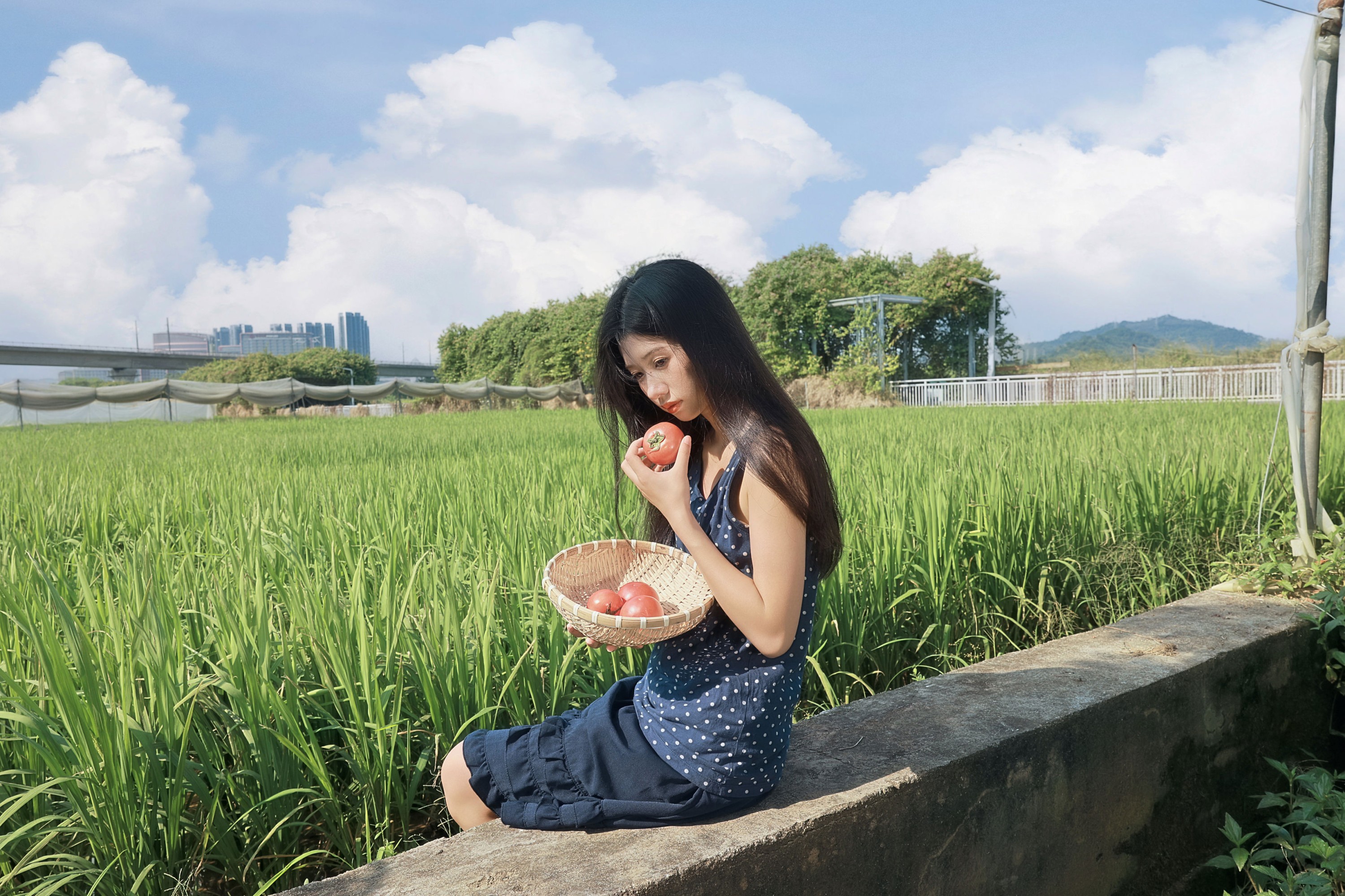 风里都是稻穗和阳光的味道