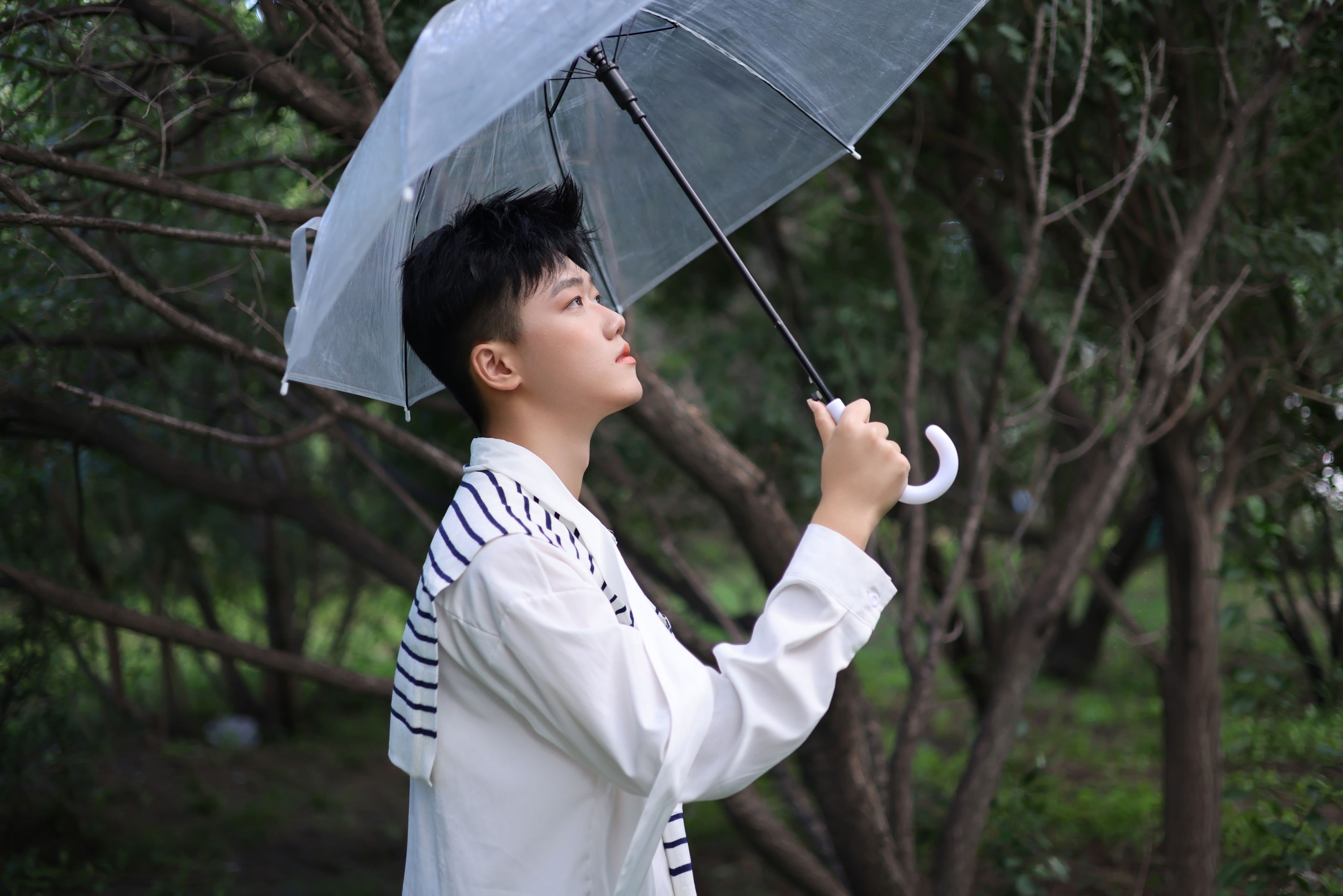 《金鱼》[9P]