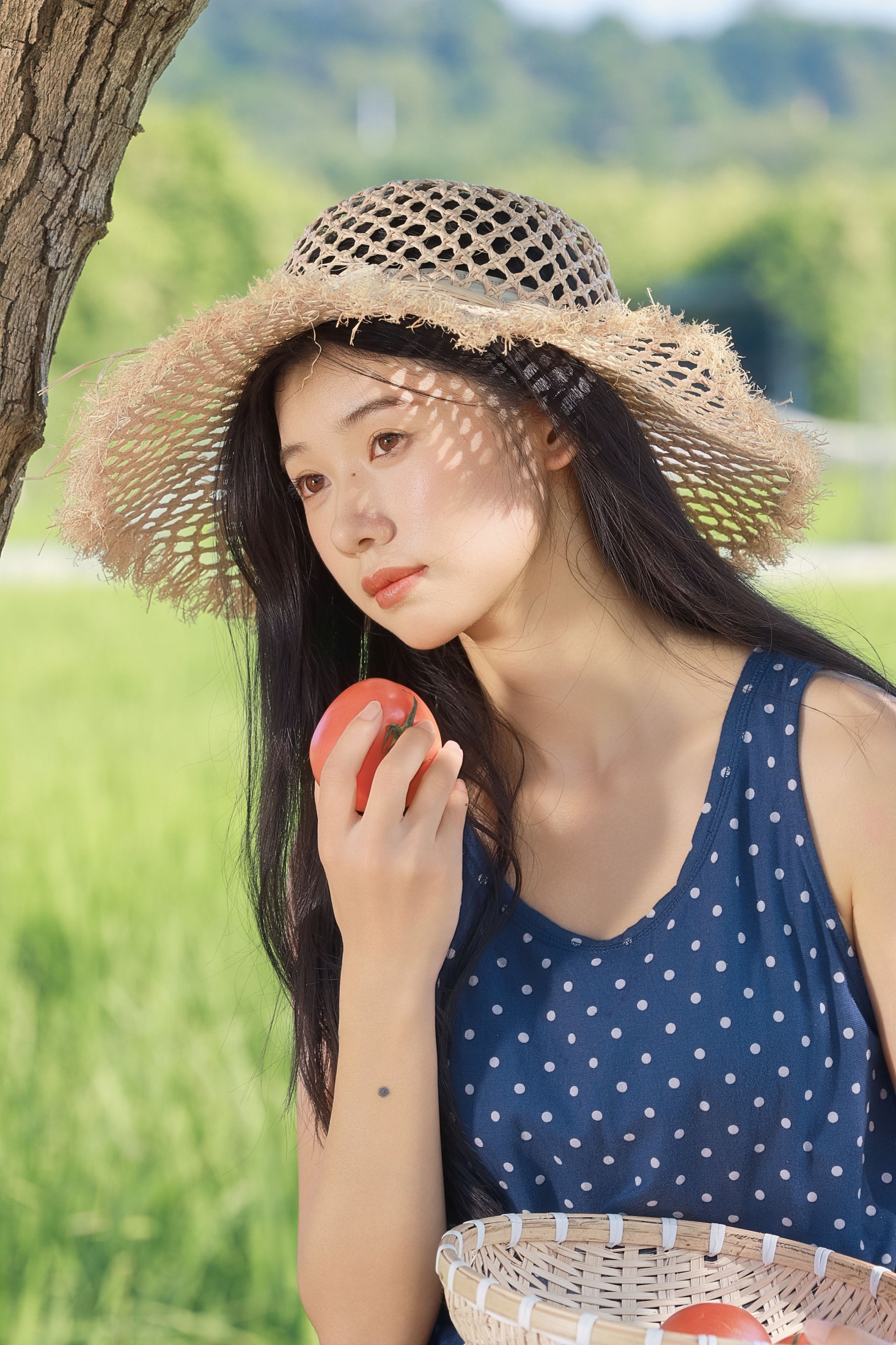 夏日午后的稻田漫游