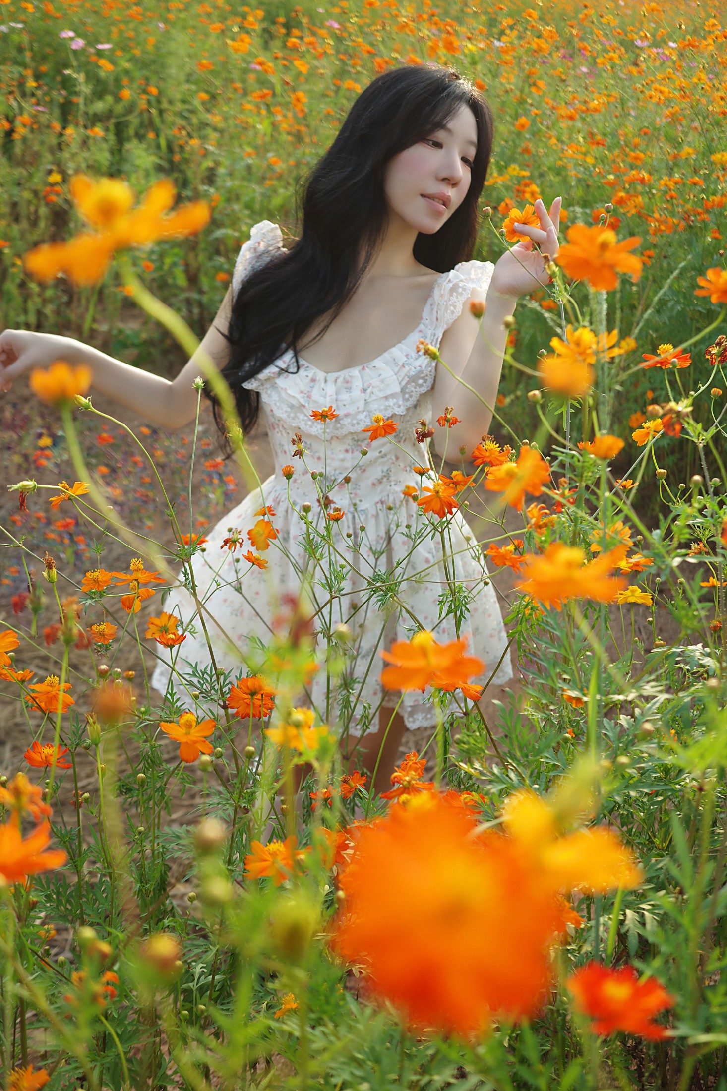 《经过一片花园》[9P]