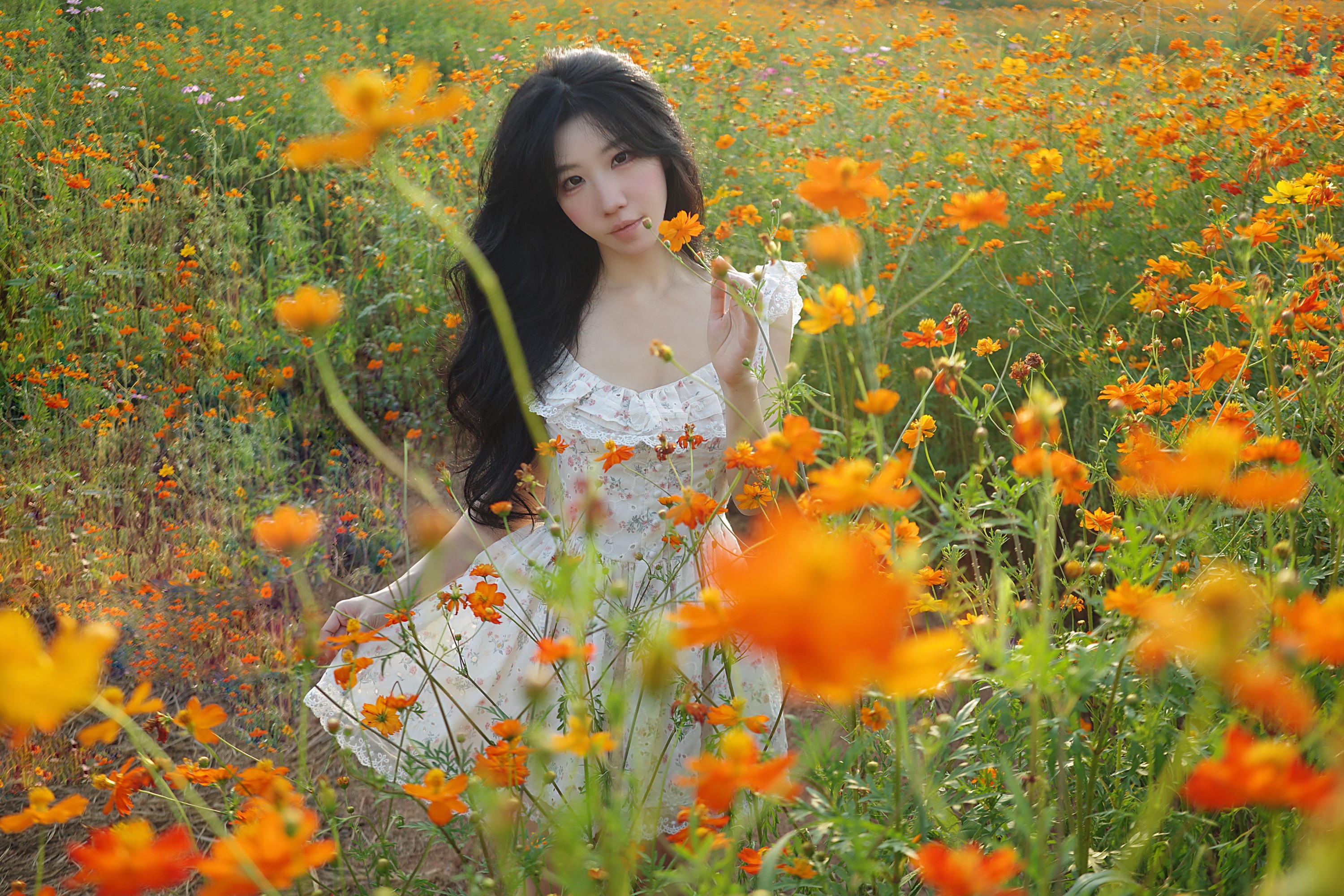 《经过一片花园》[9P]