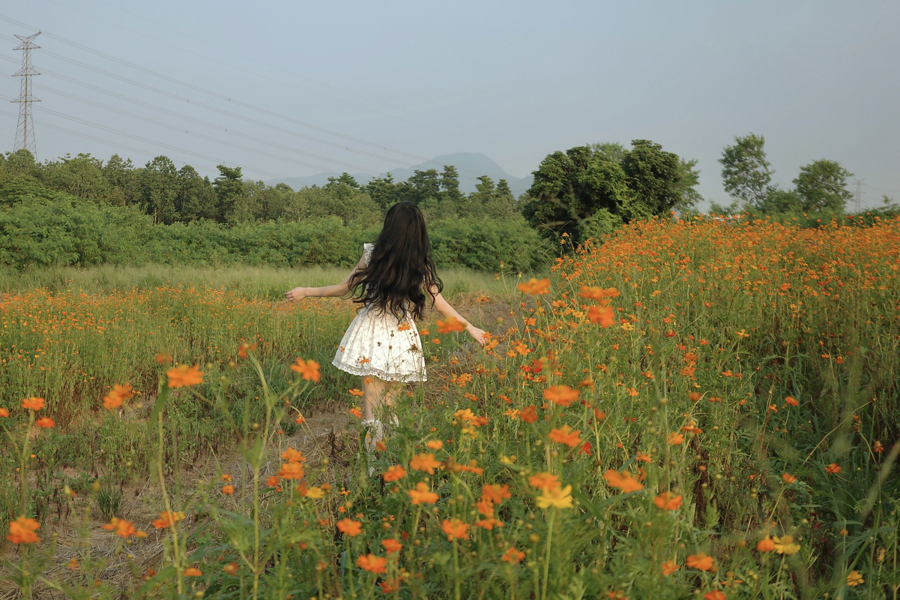 《经过一片花园》[9P]