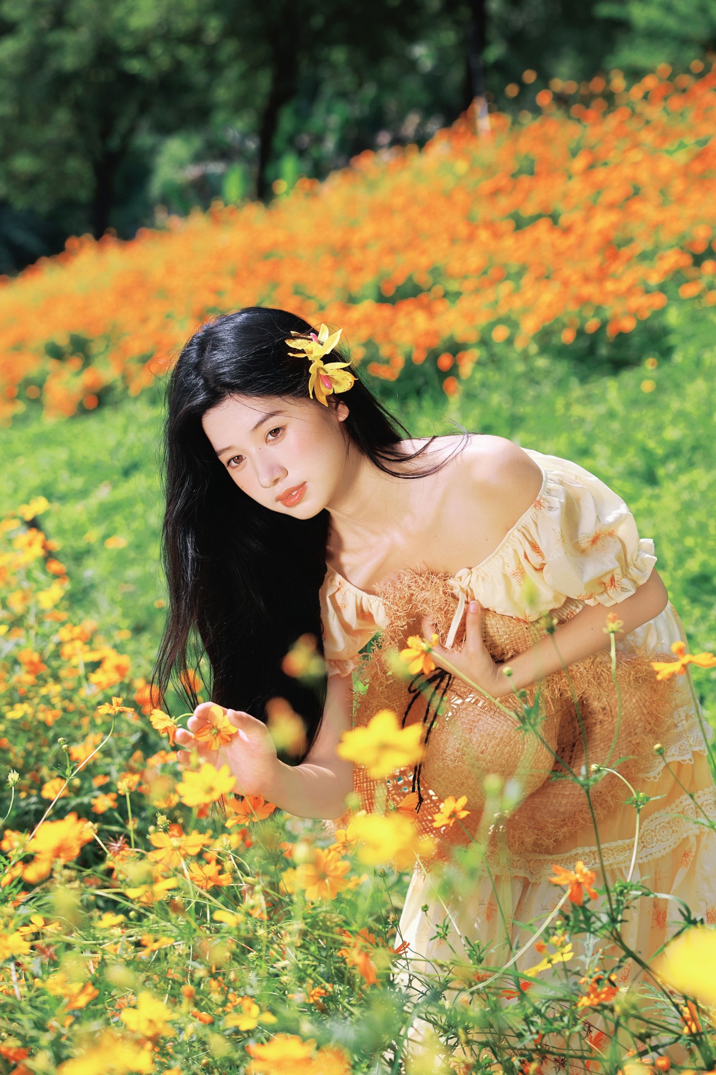 《森系花海｜闯入油画里的夏天》[33P]