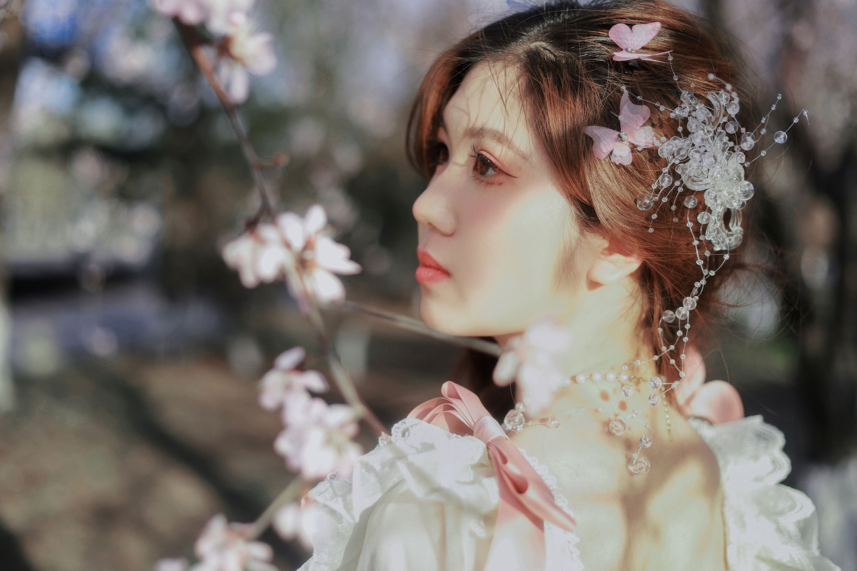 樱花