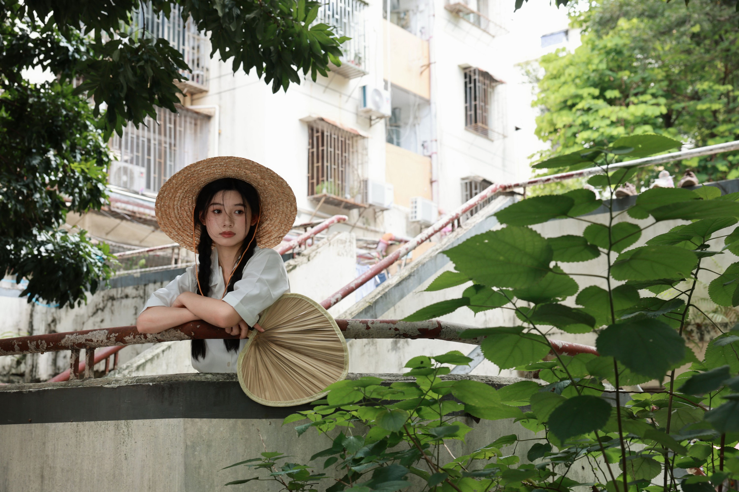 《风穿过树叶，也穿过书页》[19P]