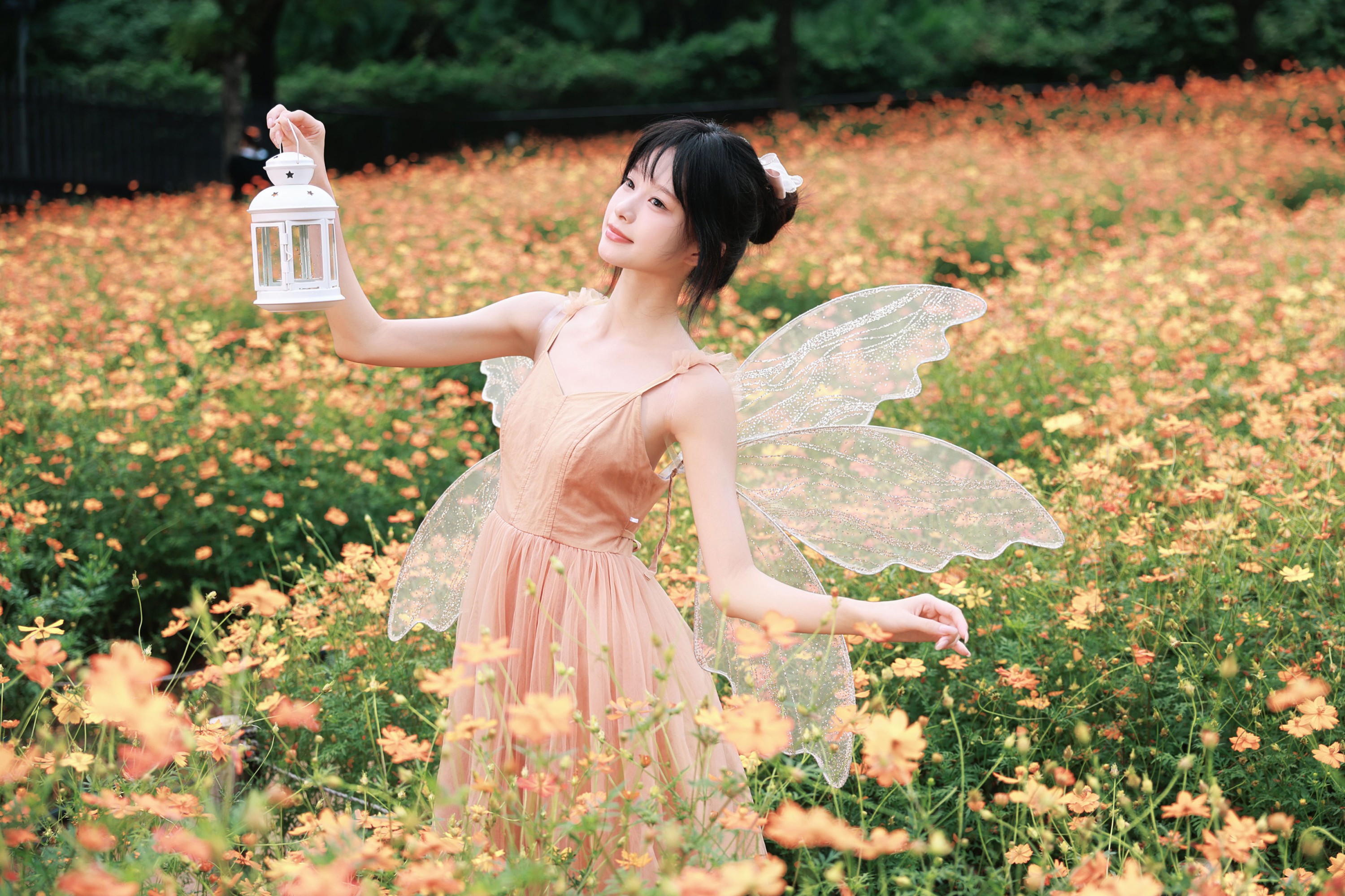 《闯进花海的橘色小精灵》[22P]