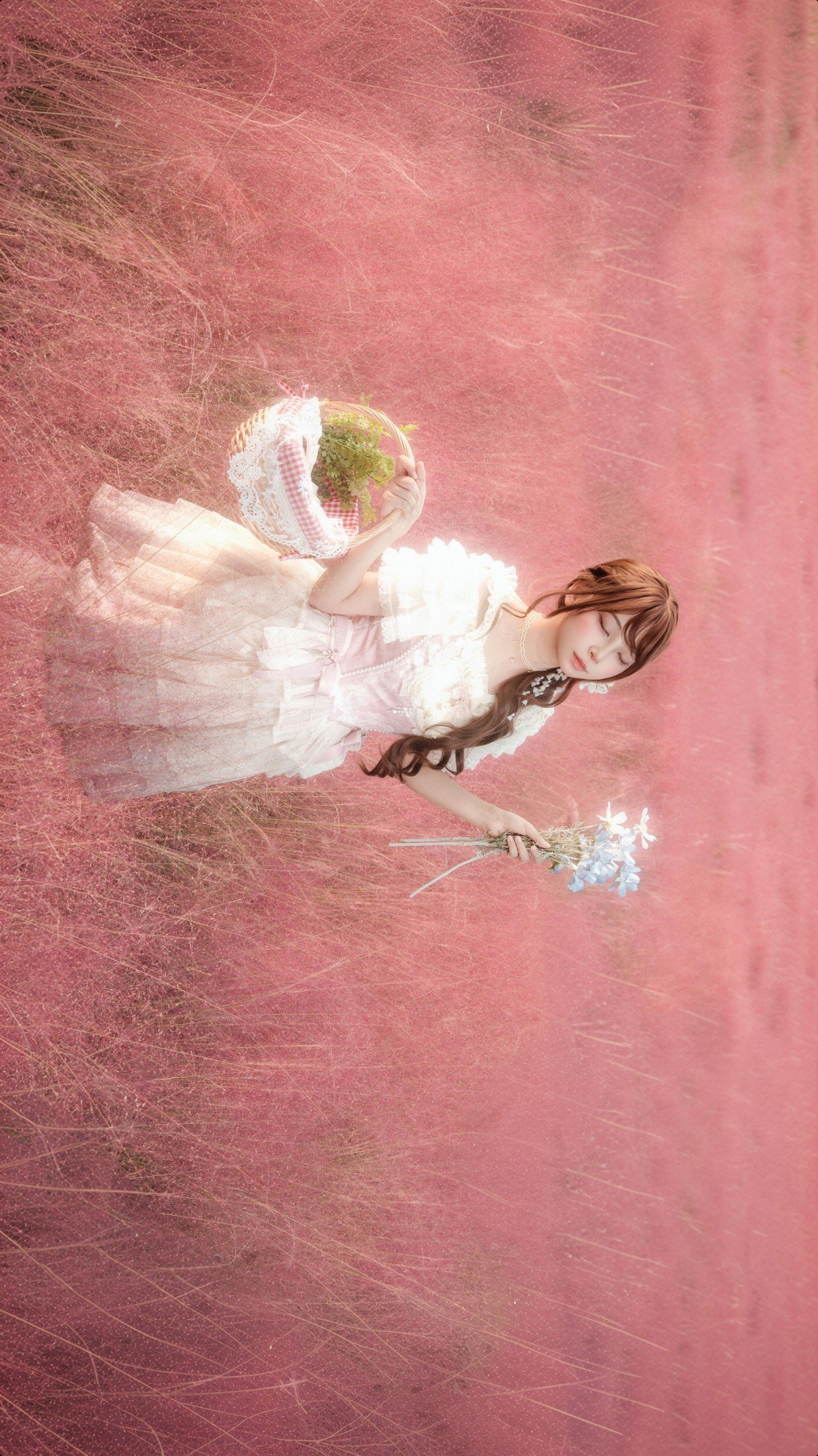 《粉黛乱子草》[9P]