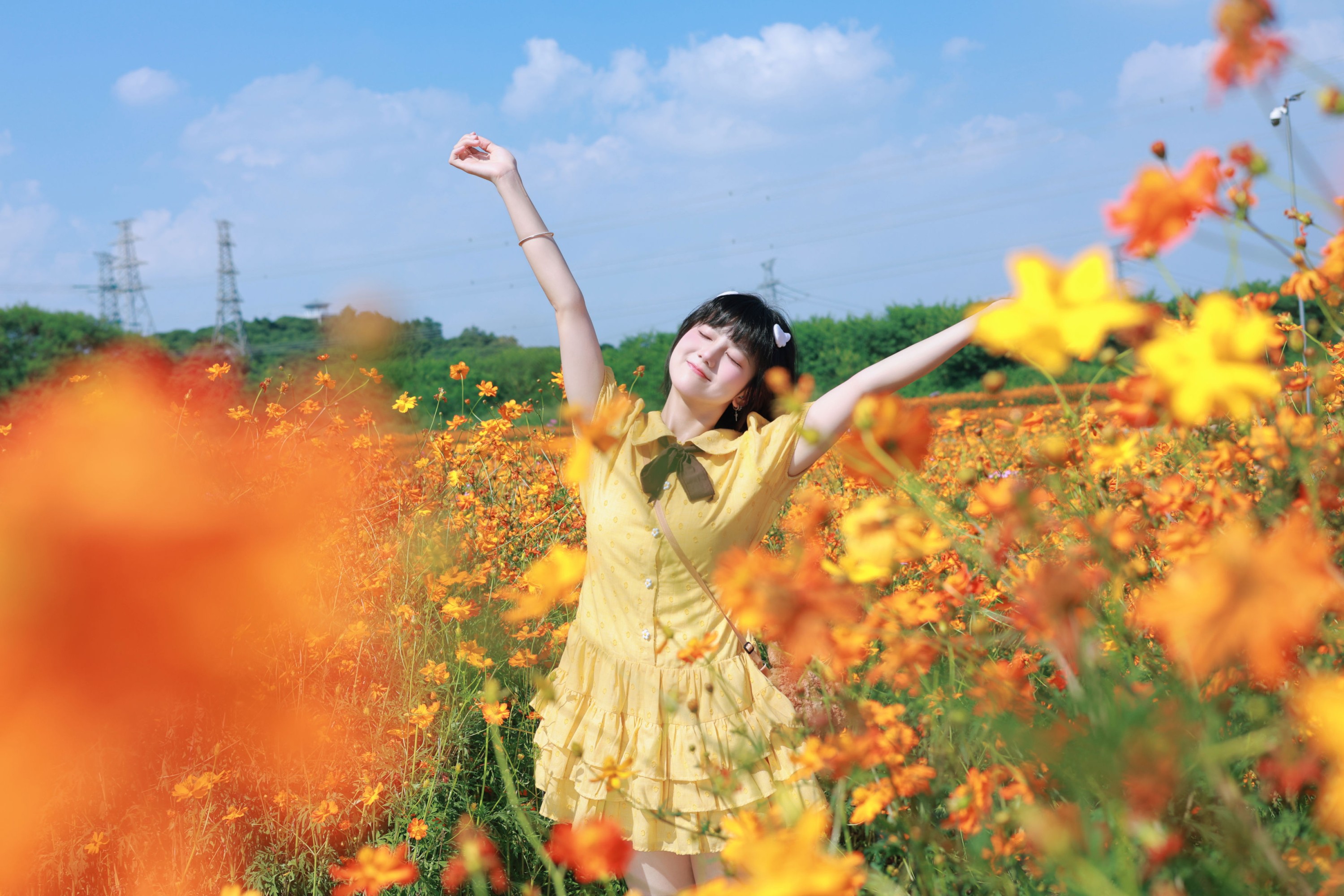 《硫化菊花海，小蝴蝶起飞咯？》[15P]