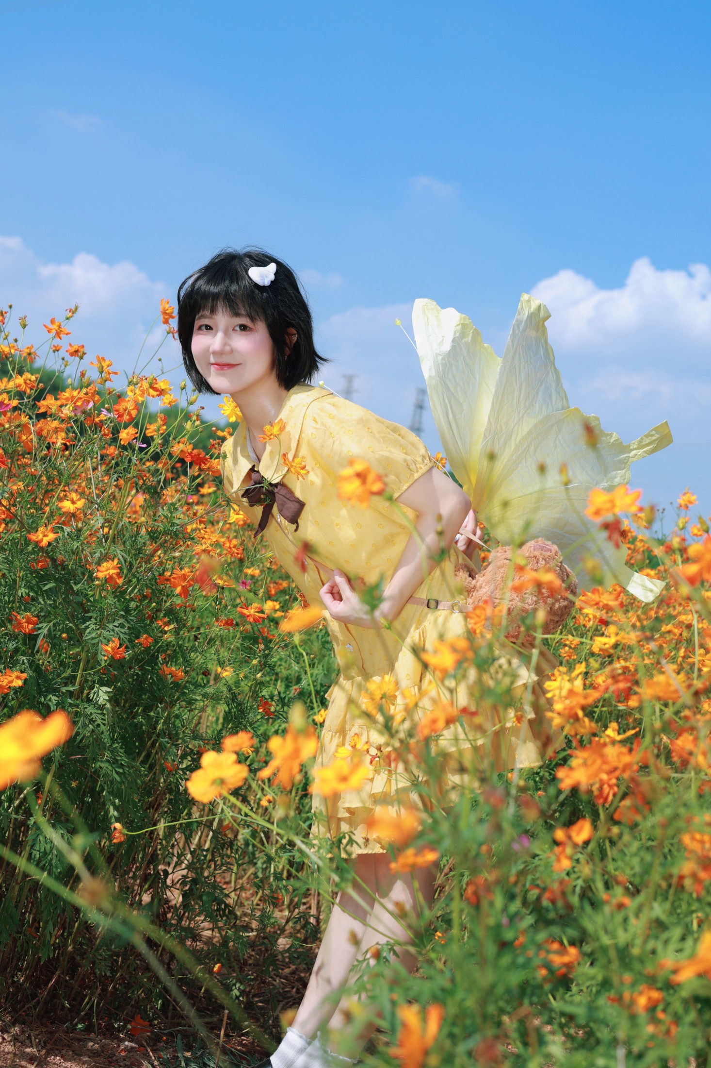 《硫化菊花海，小蝴蝶起飞咯？》[15P]