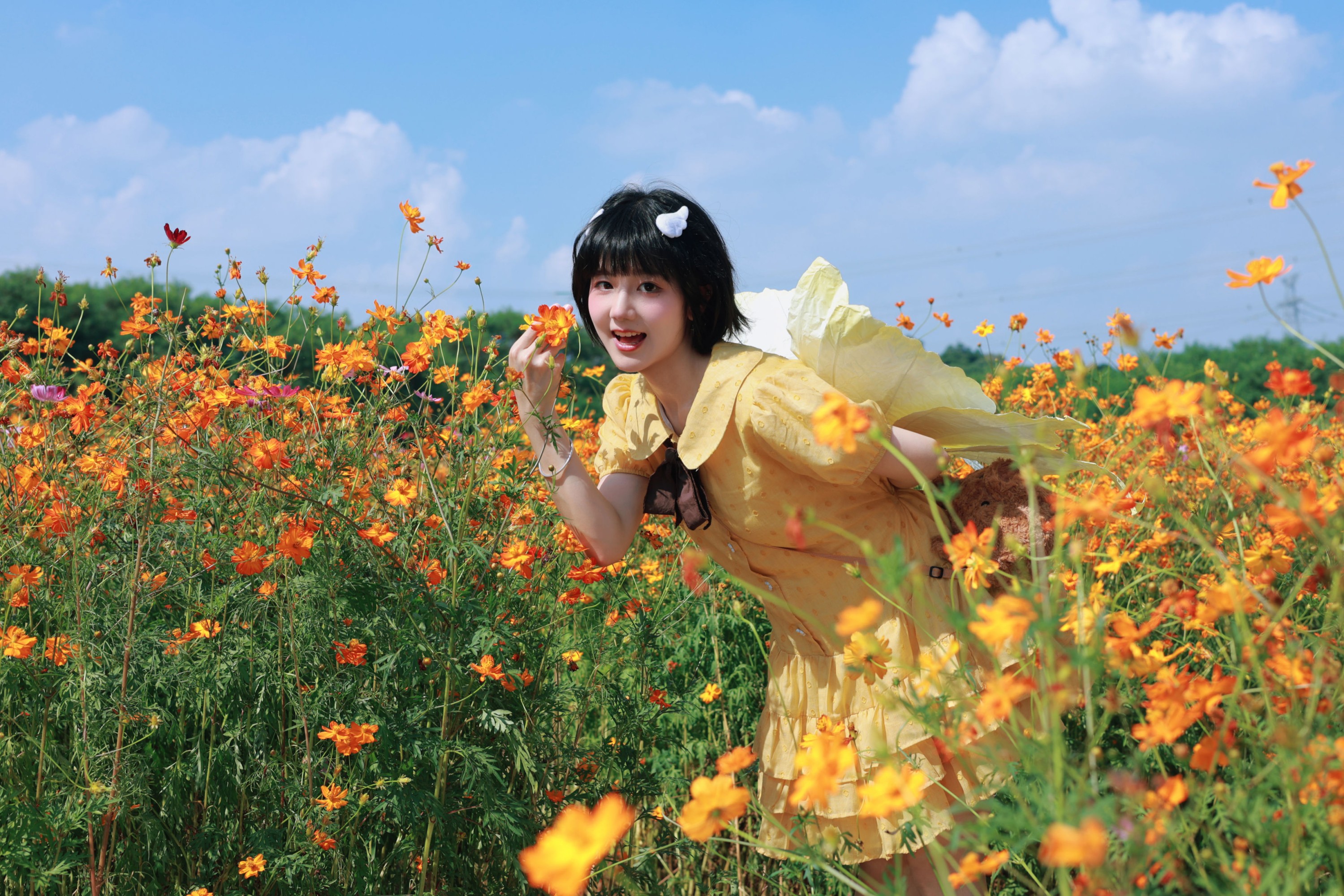 《硫化菊花海，小蝴蝶起飞咯？》[15P]