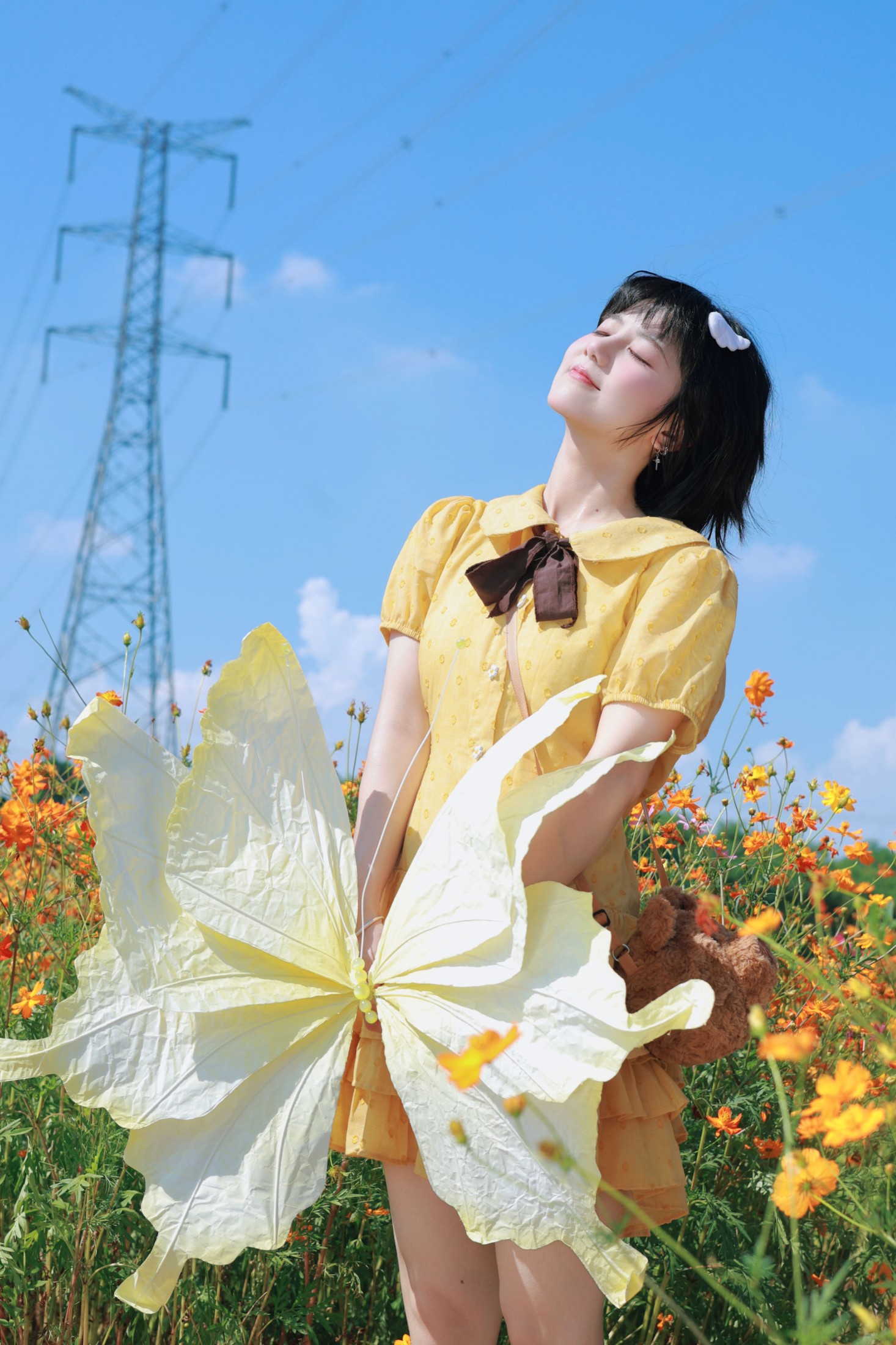 《硫化菊花海，小蝴蝶起飞咯？》[15P]
