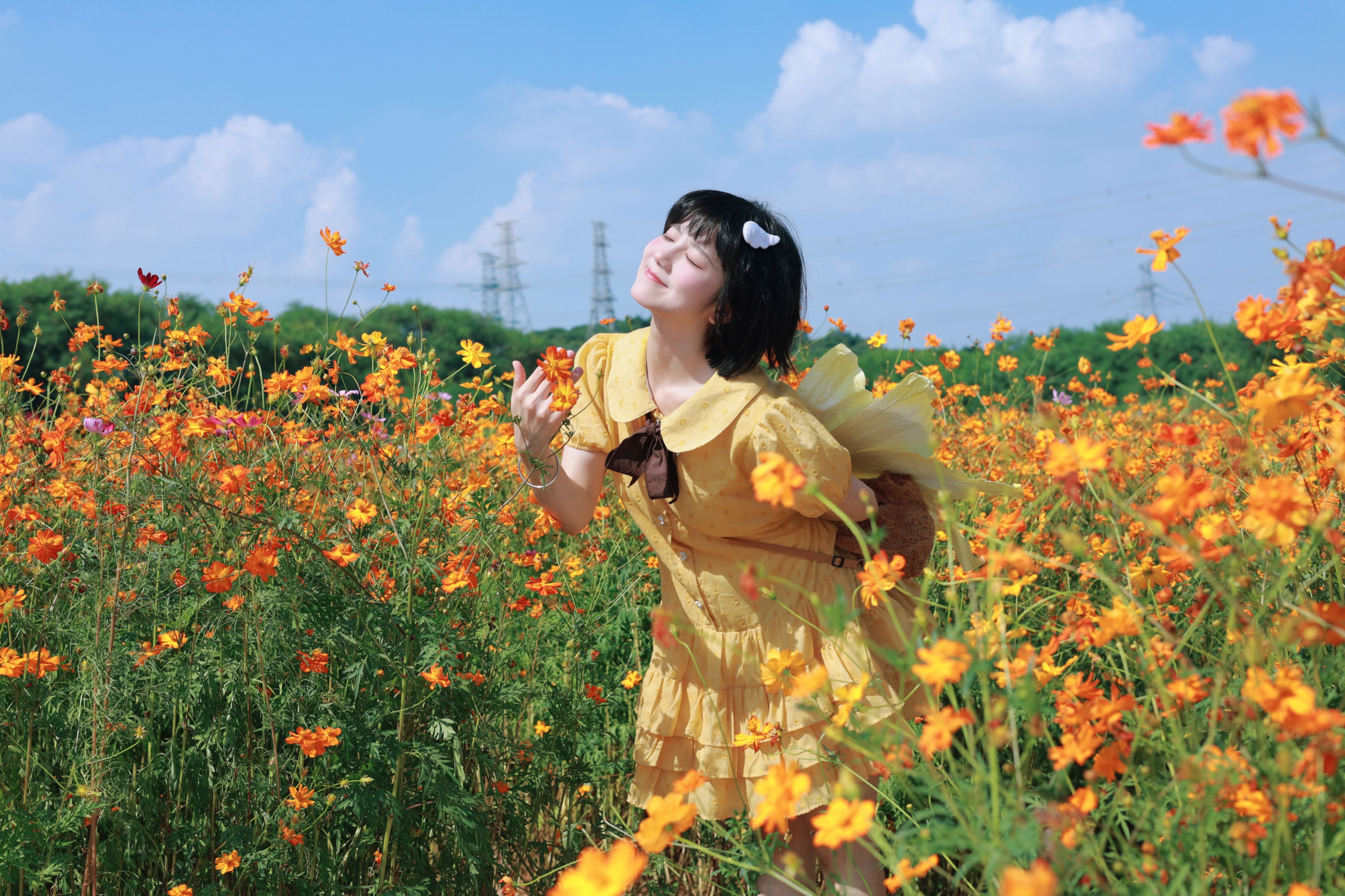 《硫化菊花海，小蝴蝶起飞咯？》[15P]