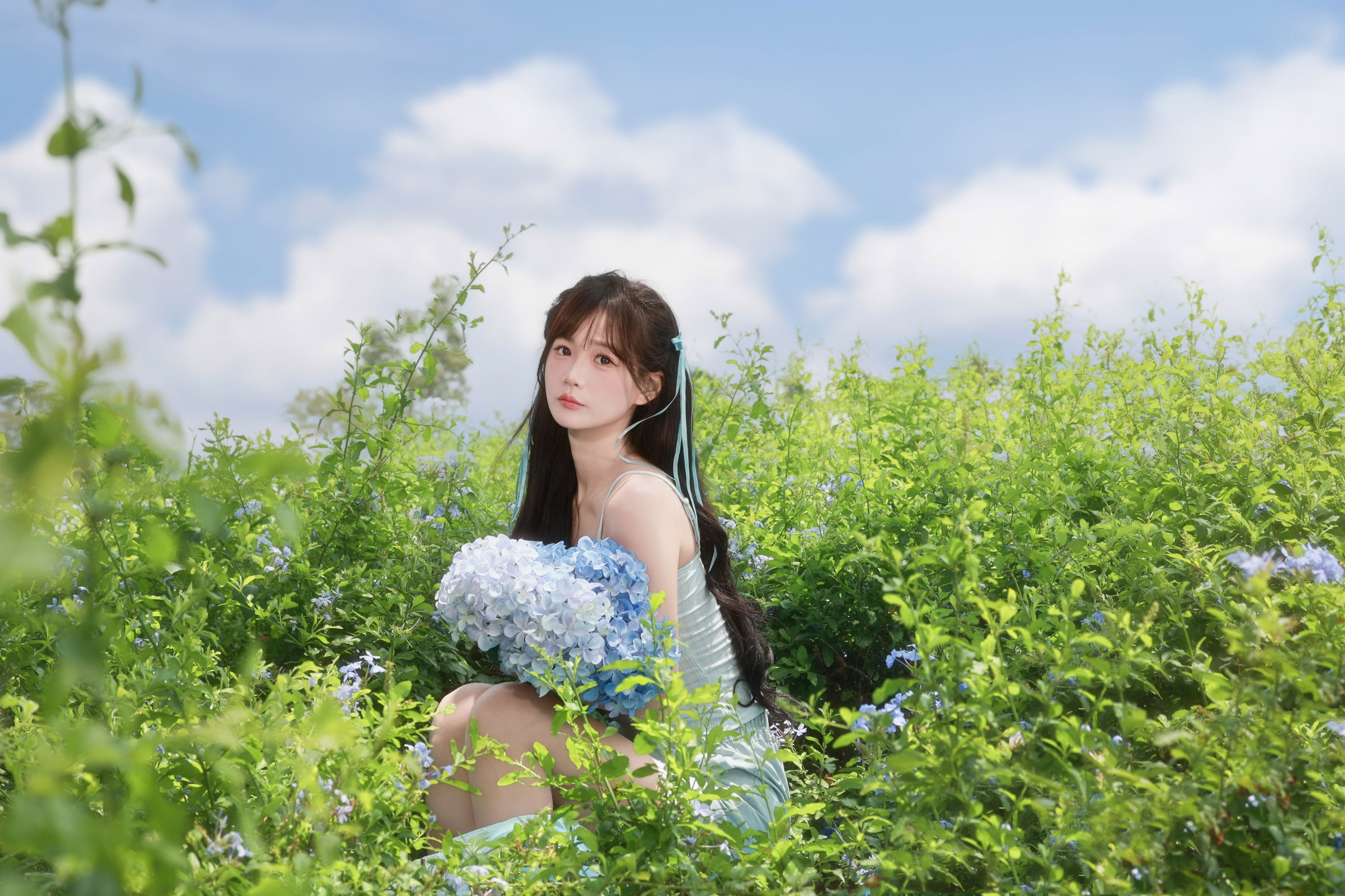 夏日序曲・绣球花海与少女