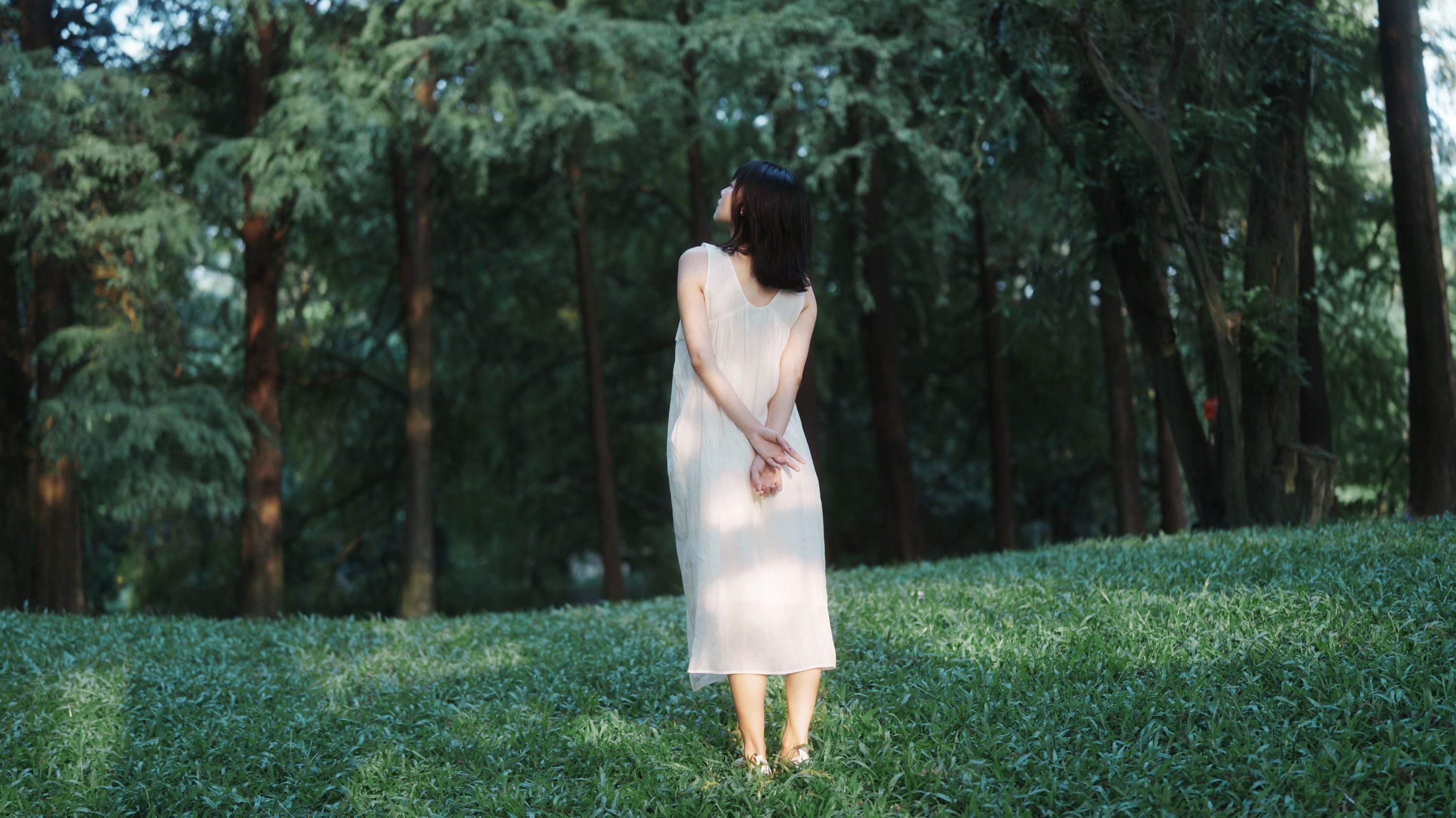 《森林白裙子》[37P]
