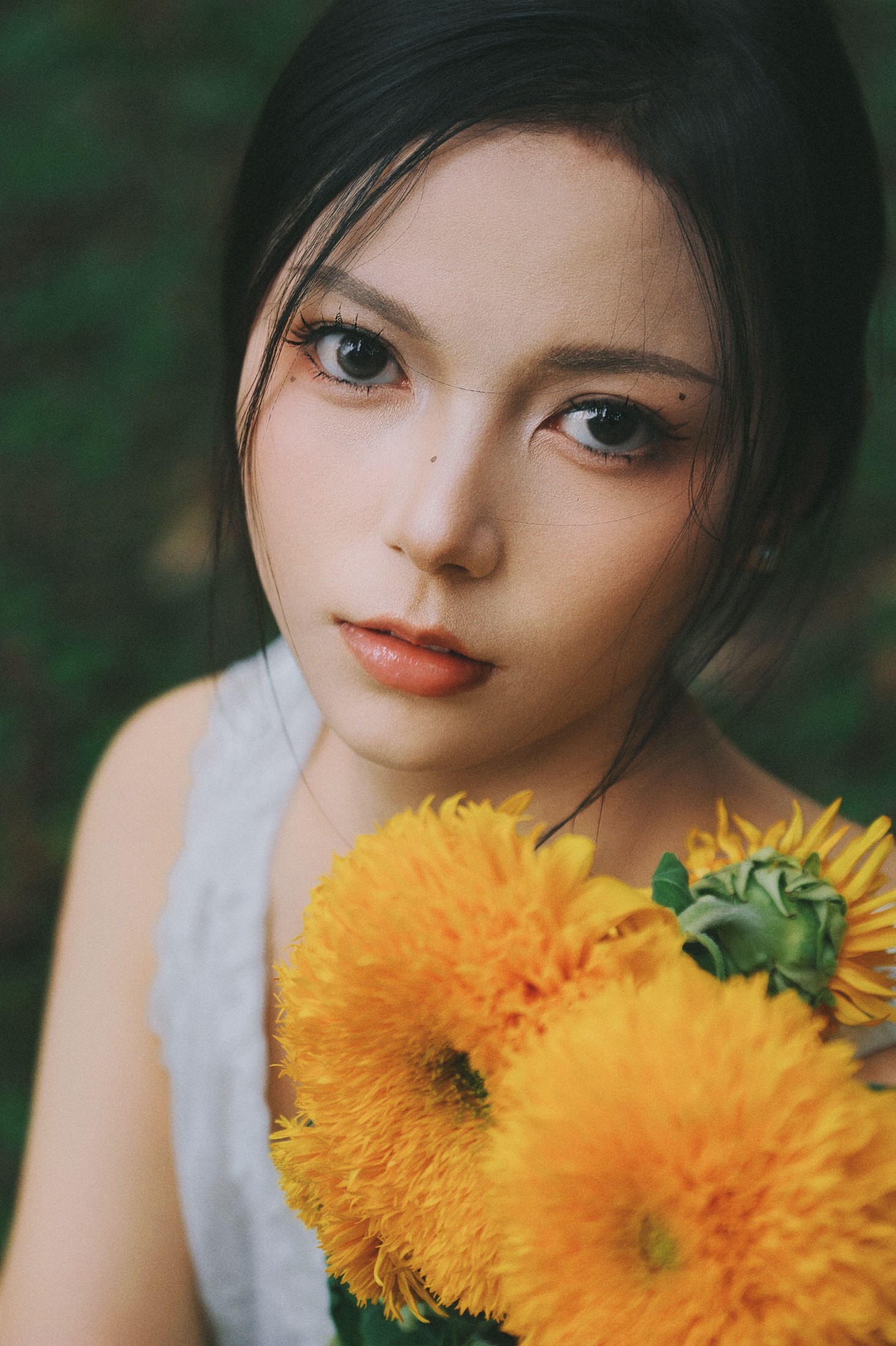 《向日葵的夏日来信》[26P]