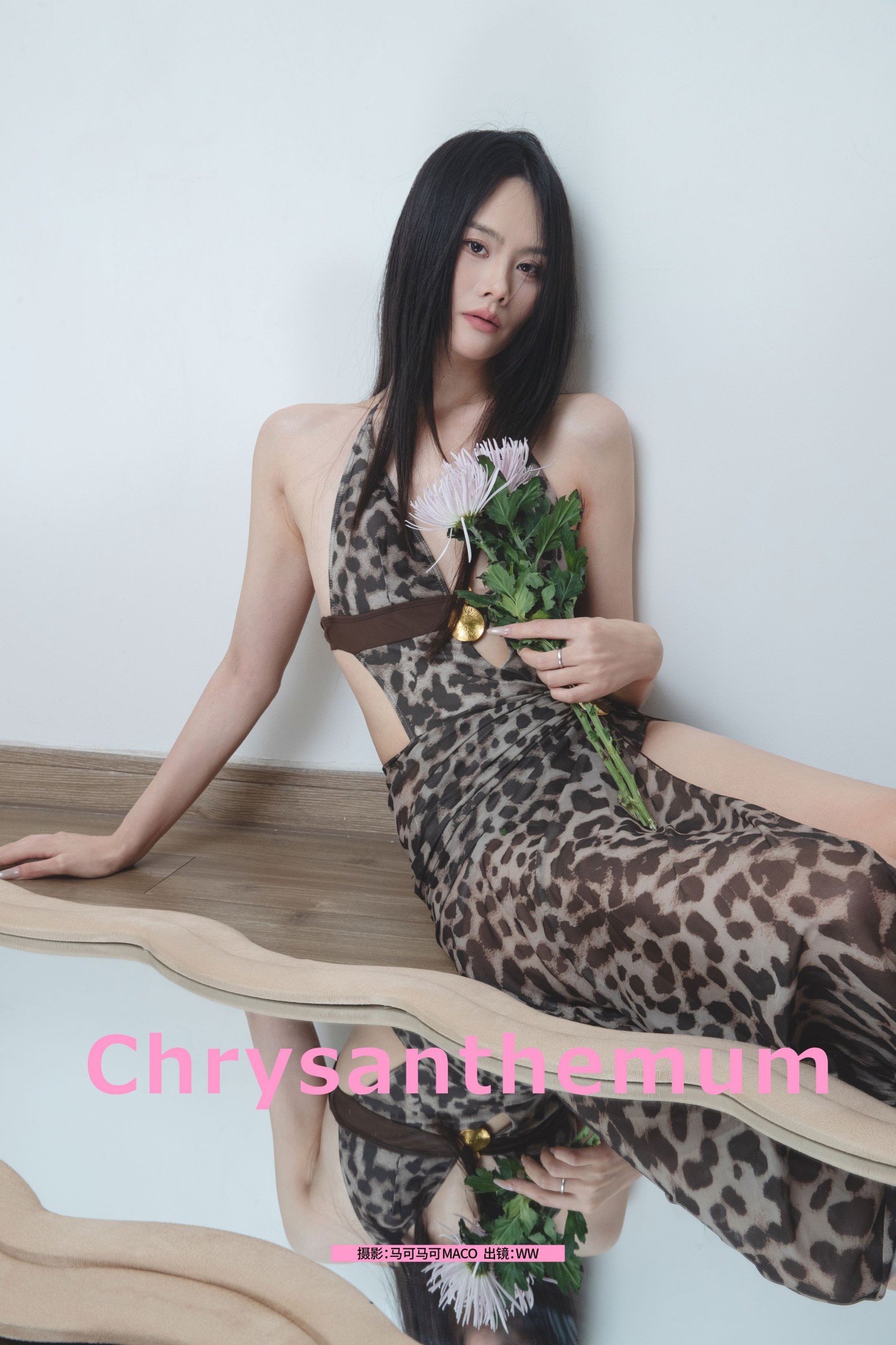 Chrysanthemum