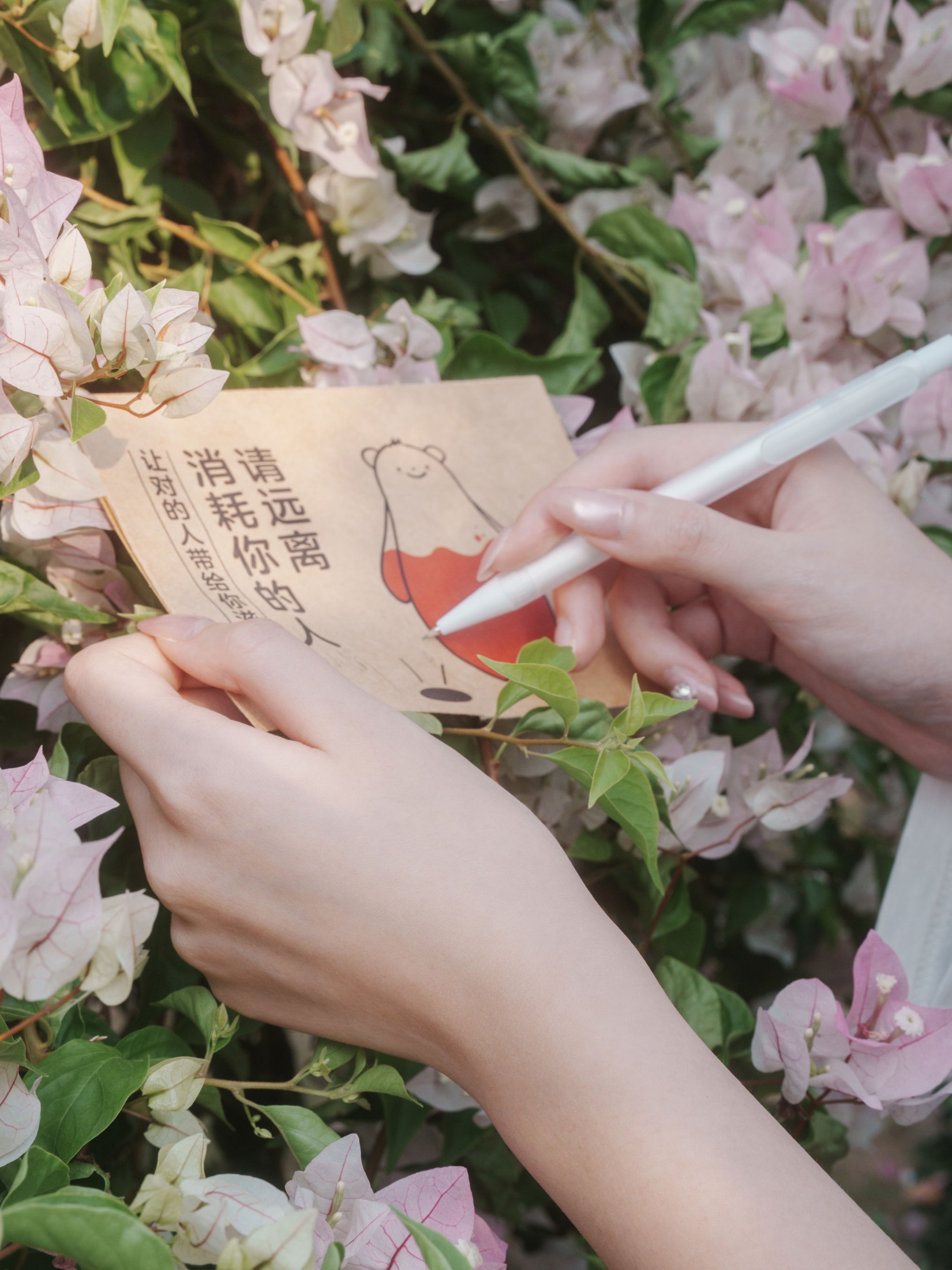 《信件》[31P]