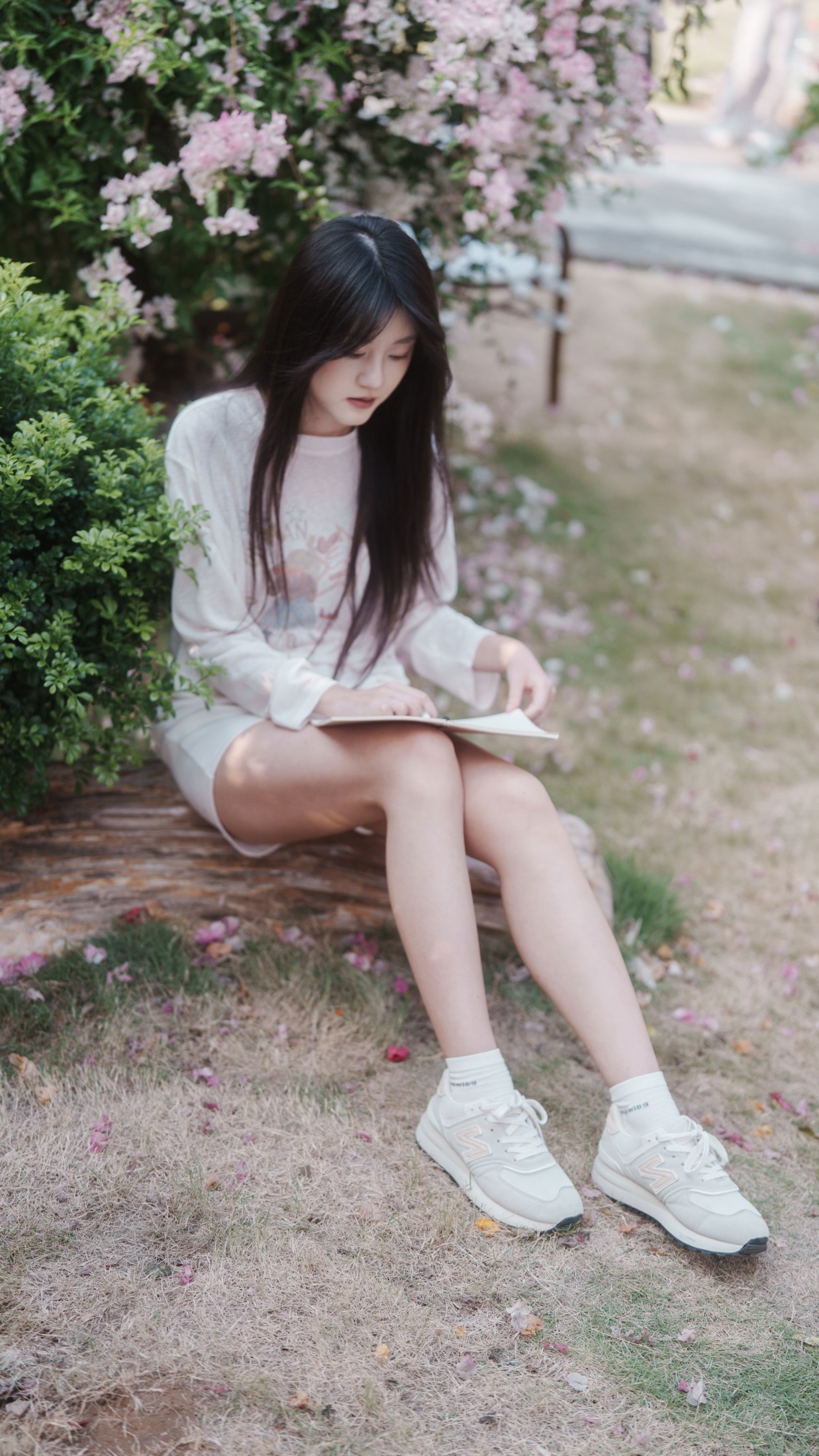 《信件》[31P]