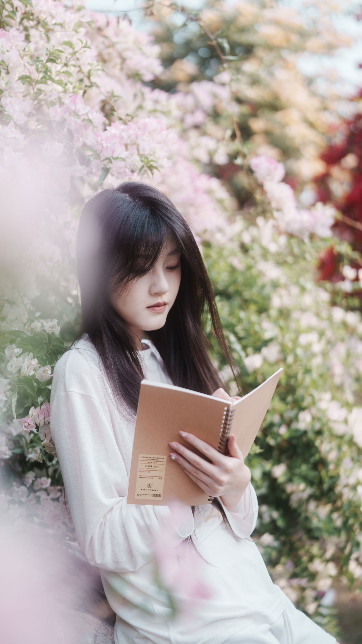 《信件》[31P]