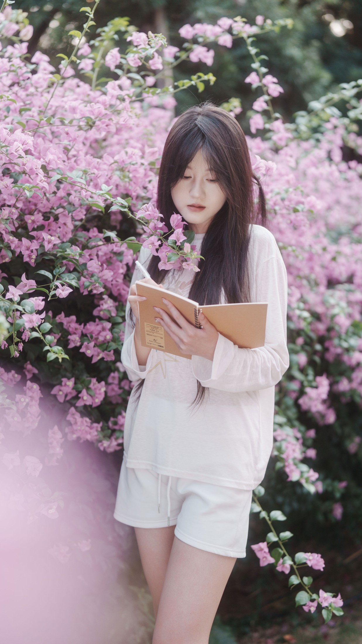 《信件》[31P]