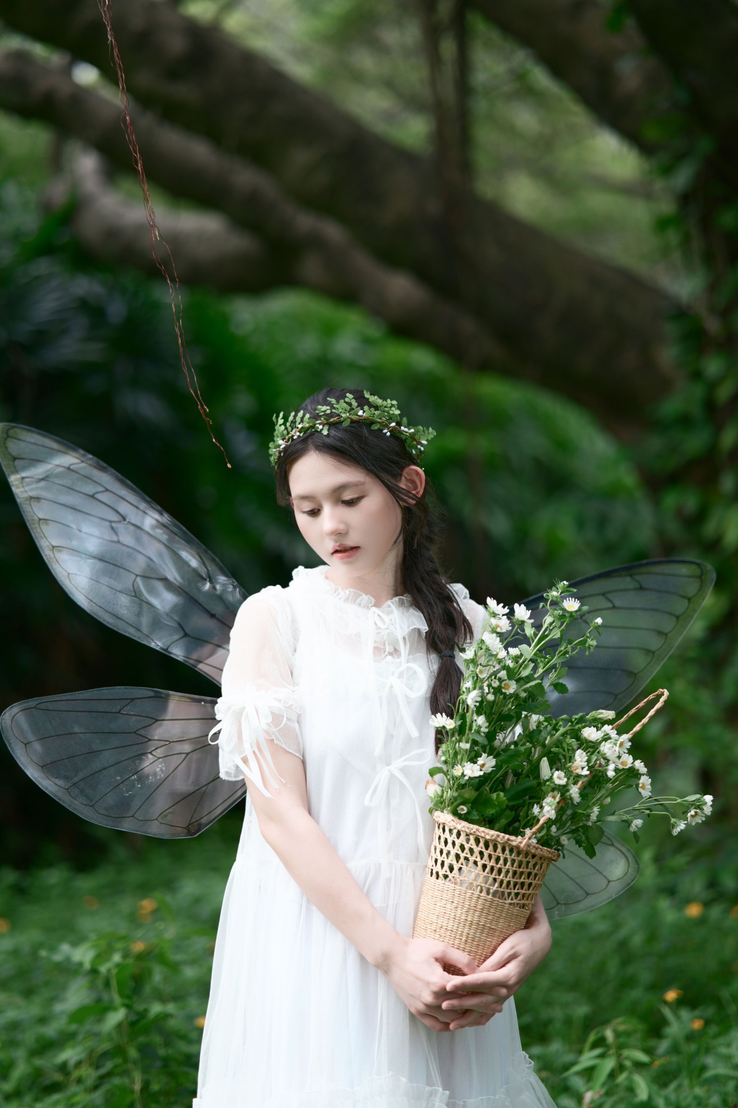 《精灵公主》[23P]