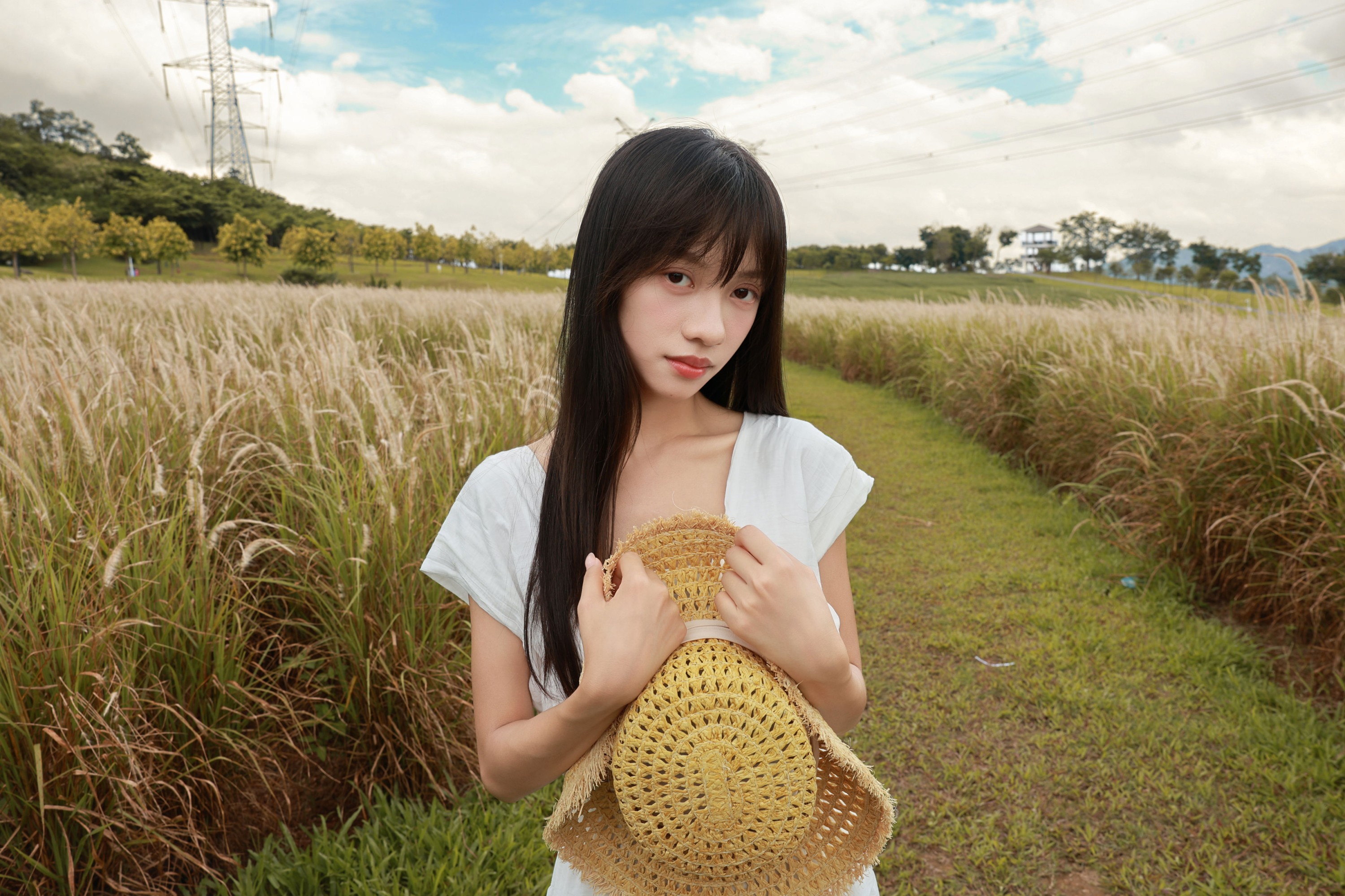 《风与草甸，是写给夏天的散文诗》[17P]
