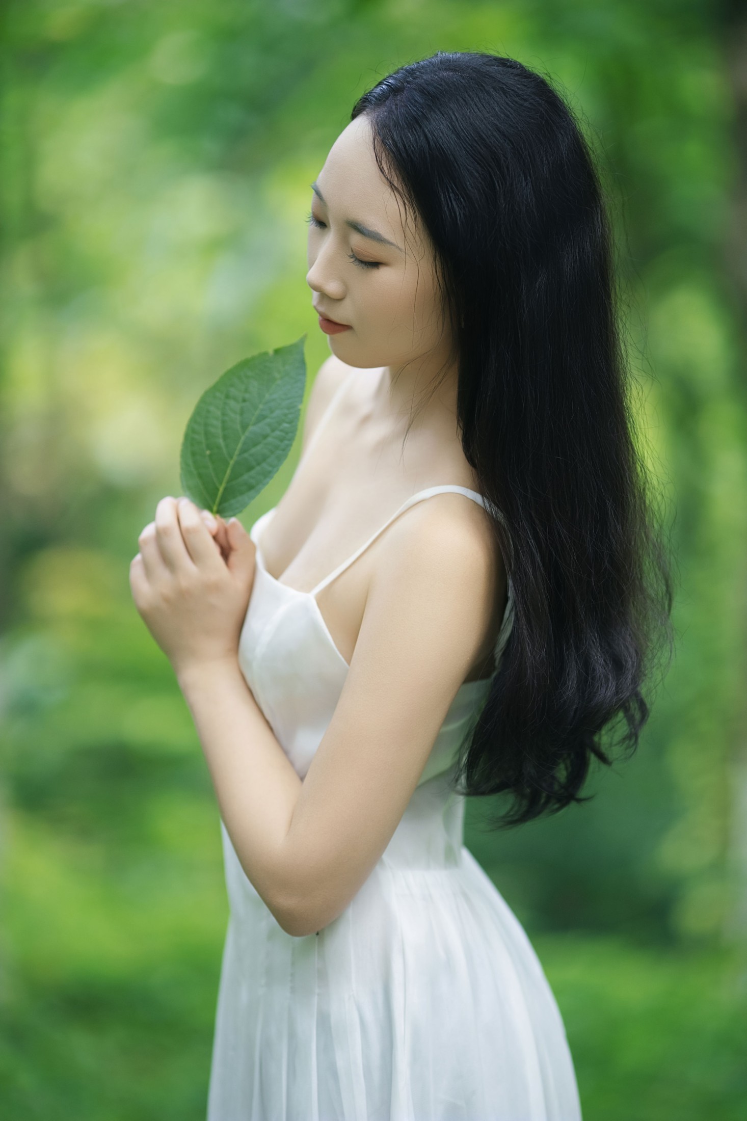 《走进森林，当一天精灵》[24P]