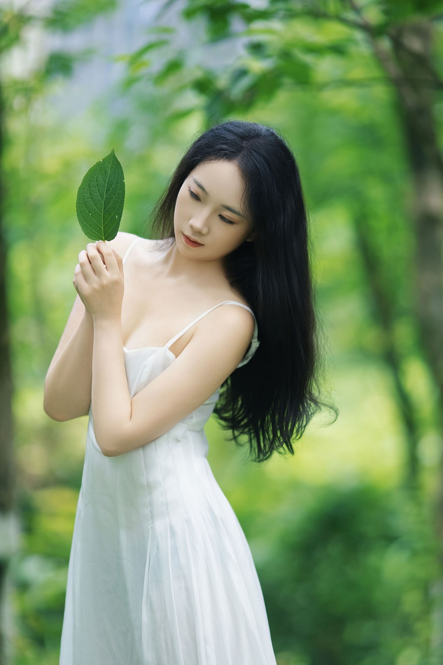 《走进森林，当一天精灵》[24P]