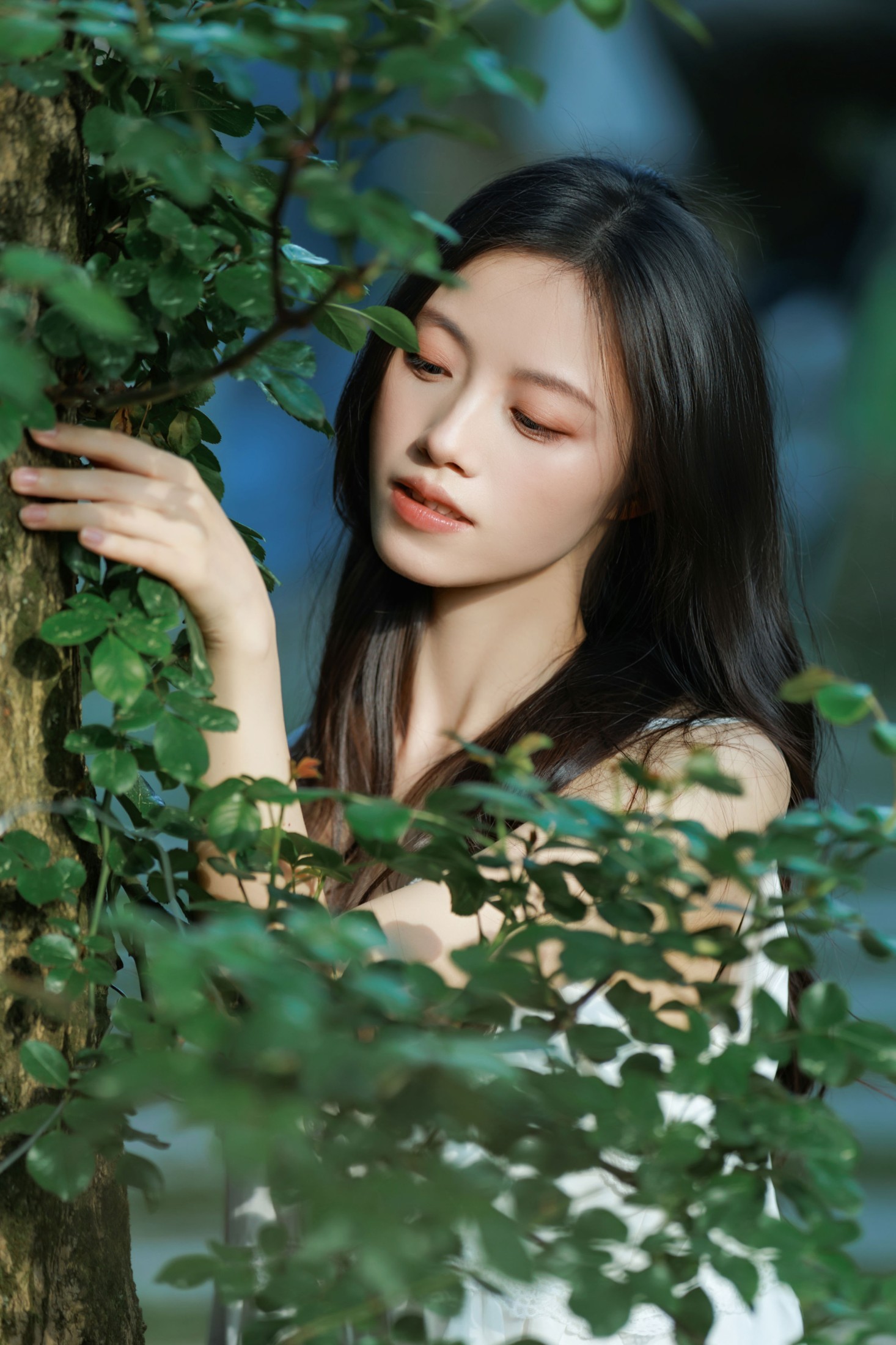 《赴一场七里香的白色花期》[24P]